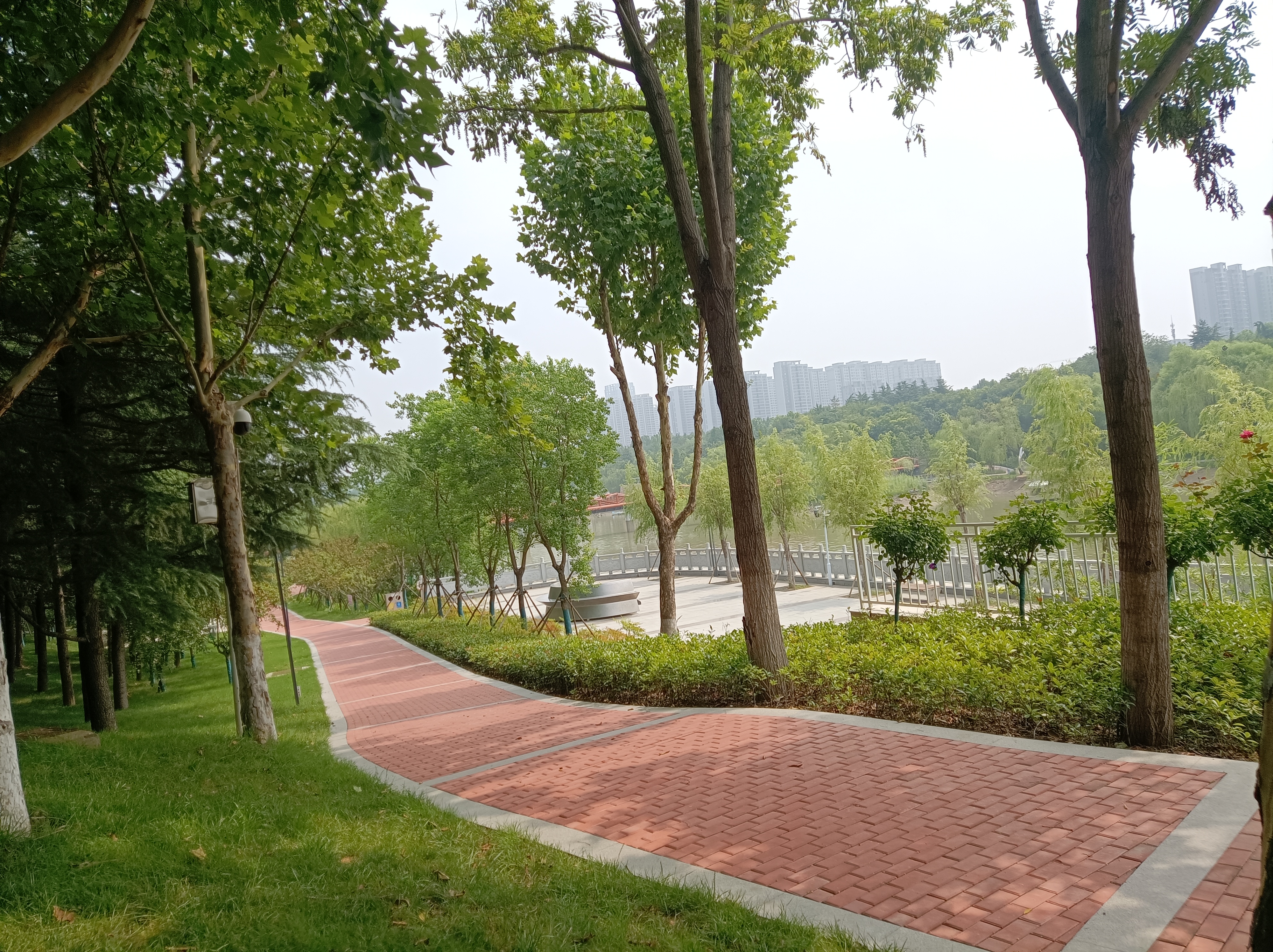 郑州夏日炎炎蝉鸣声,美景如画绿城美,雕塑公园风景秀,碧水蓝天天鹅舞