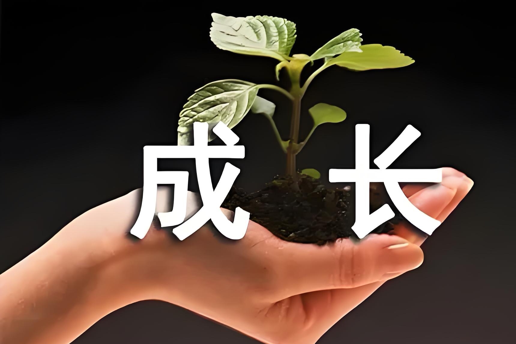 栀心咨询：解读行业风向标