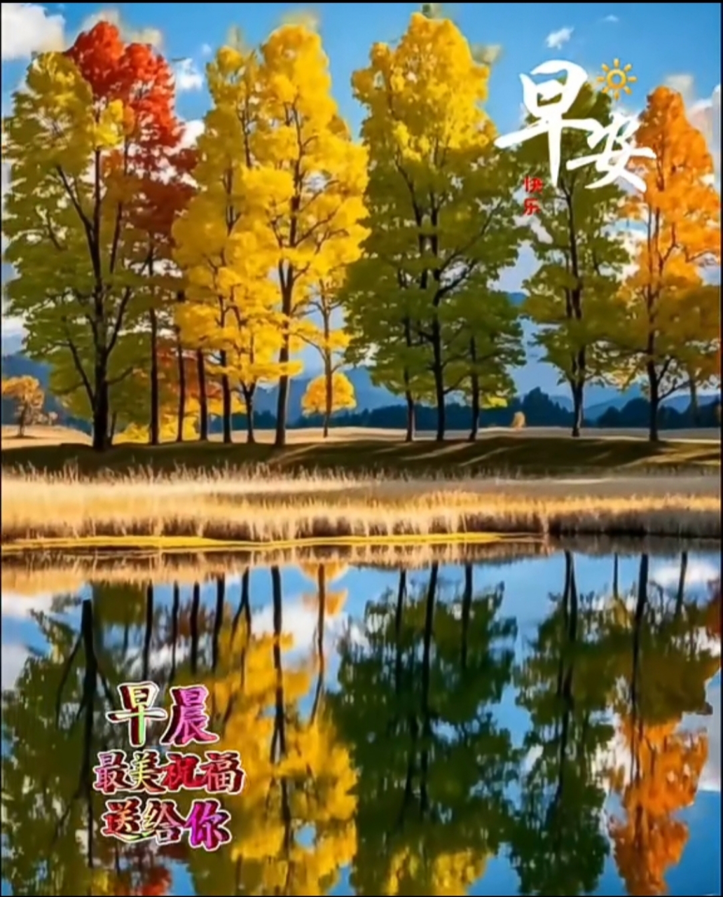 最美的秋景送给你,最美的祝福送给你. #今日早安