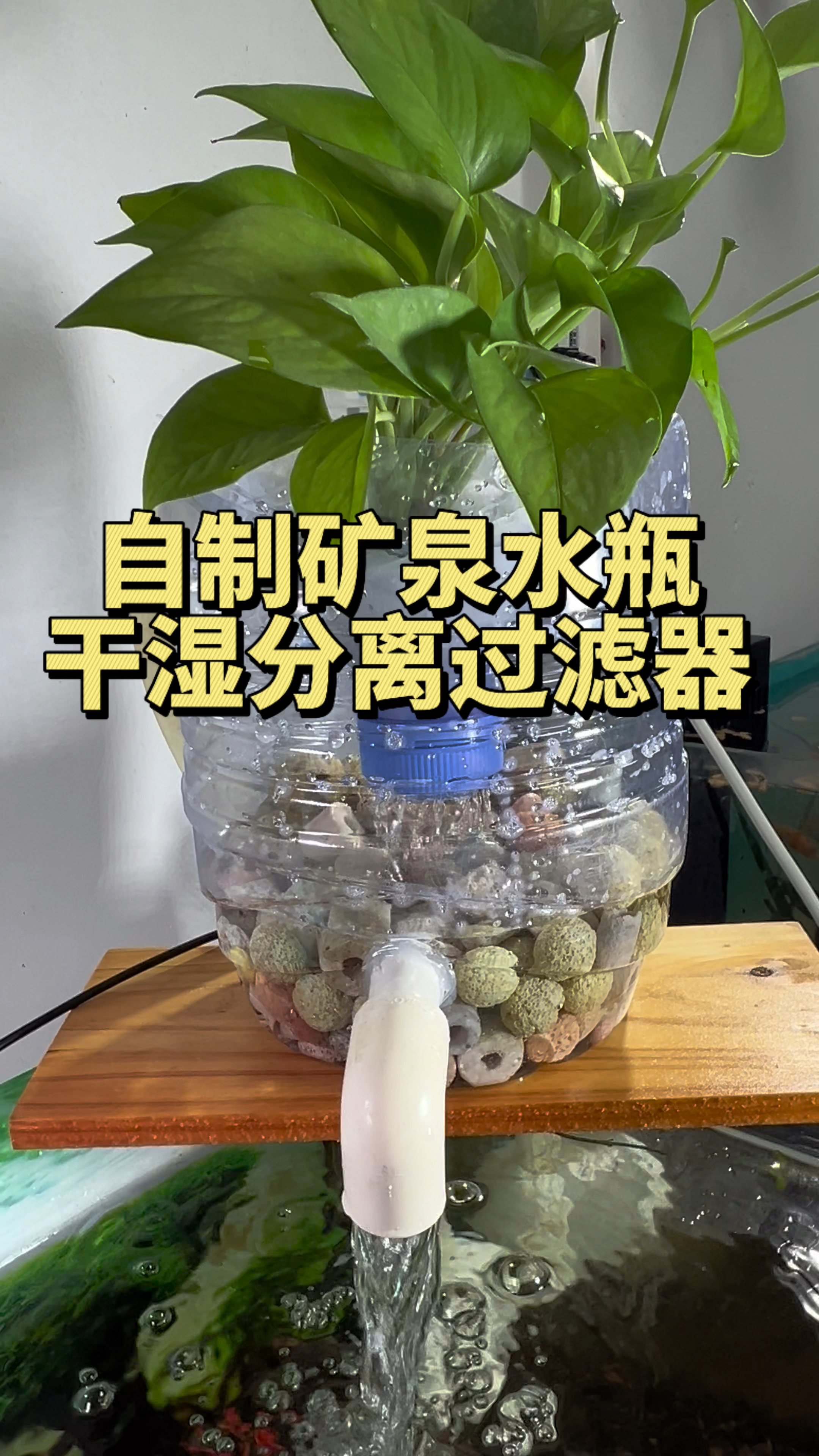 矿泉水瓶做沼泽过滤图片