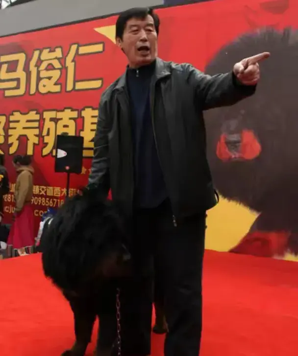 马俊仁的禁药丑闻与他的千万藏獒情缘