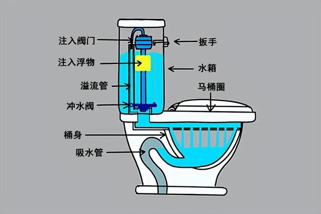 马桶结构图解图片