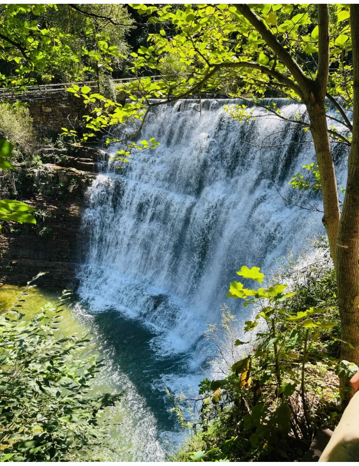 河南这个景区简直堪称"小九寨沟",美得都不像是河南的景区!