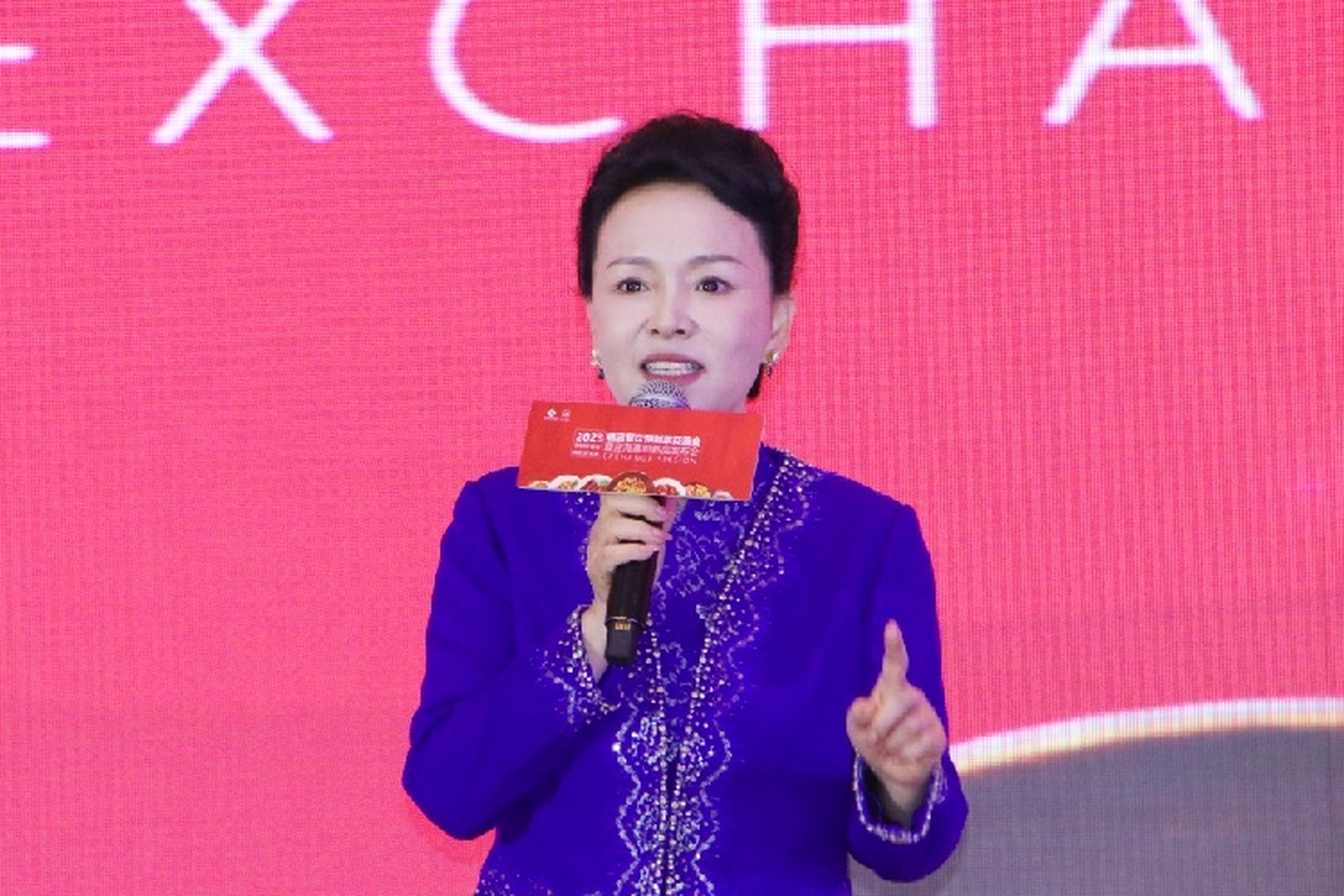 安英,蓝海集团副董事长,一个饱读诗书的幼师,成天在抖音上拍视频用"