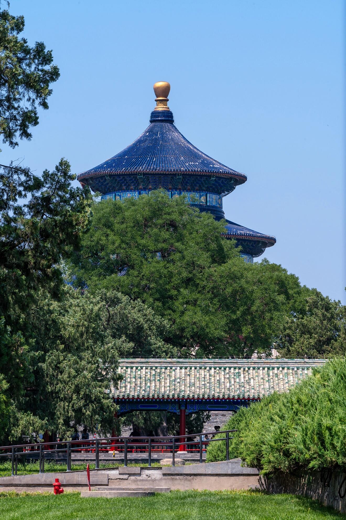 绿树抽出新芽,微风拂过,枝叶轻摇,似在低语.