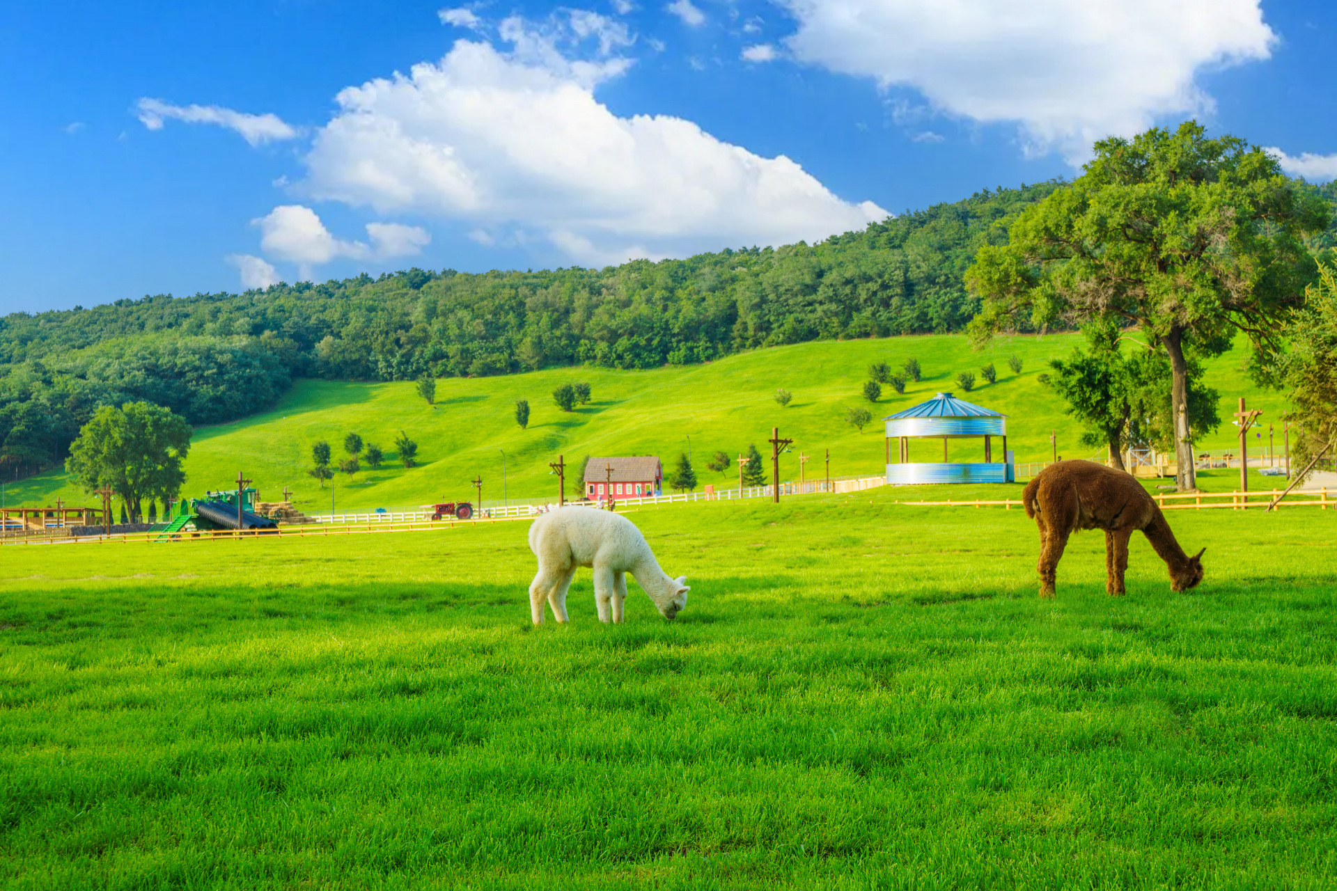 避暑还得来辽宁# 【沈阳云端草原打卡攻略】沈阳云端草原位于沈阳