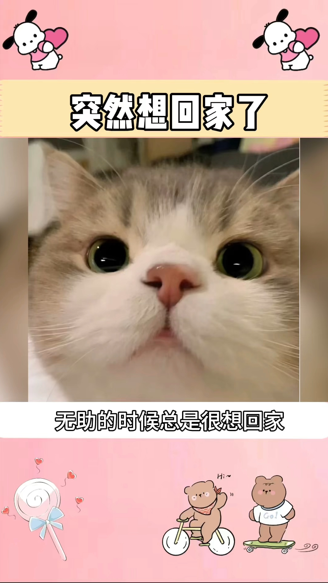 突然想回家了哈哈哈