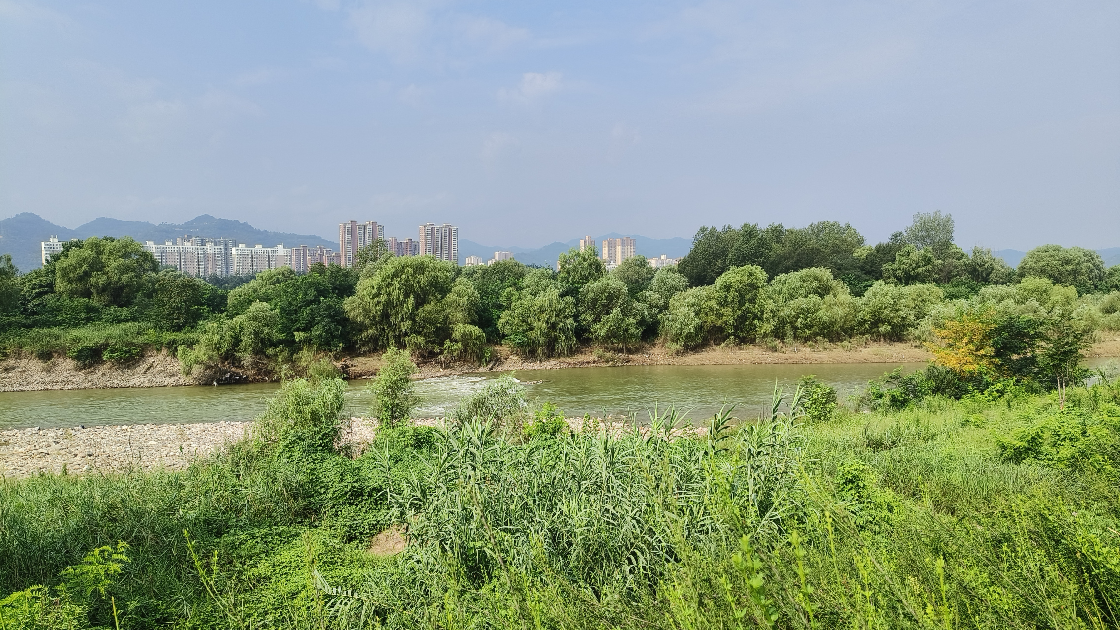 宝鸡市司川河图片