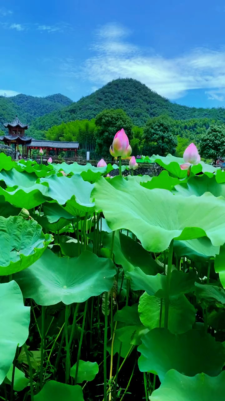 风景美如画,位于浙江金华浦江诗人小镇