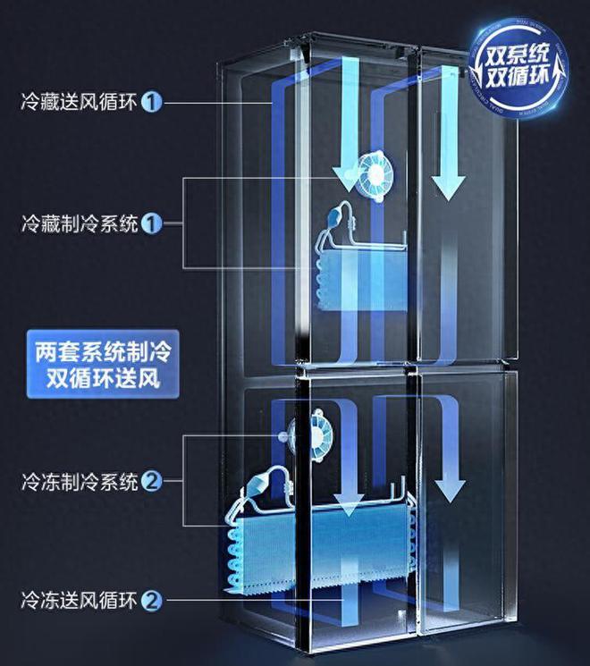 冰箱有必要买双循环的吗?哪个型号好?2024最建议买这三款