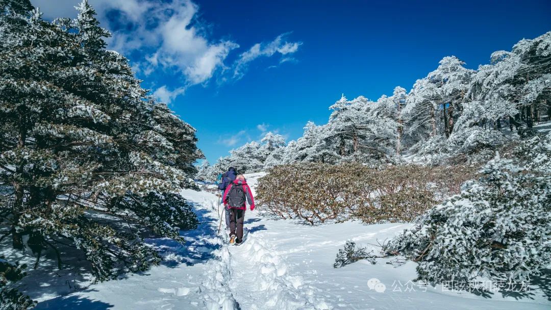 收藏好这条大理苍山兰峰徒步路线,冬季绝美雪景等你来探访
