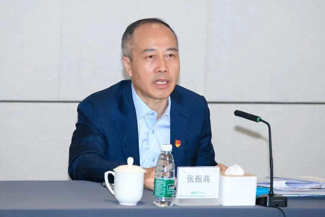 华侨城集团有限公司董事长,张振高简历