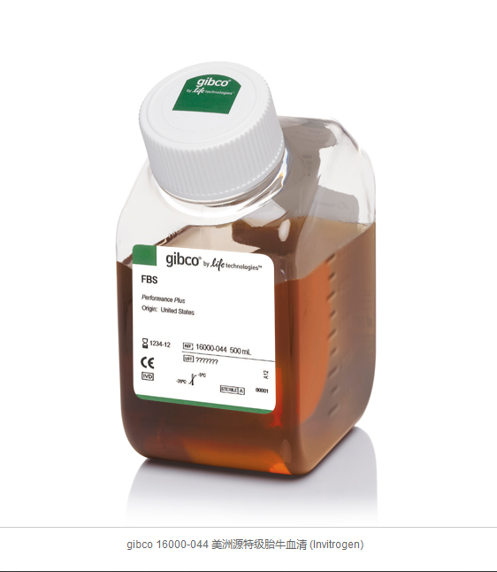什么是gibco胎牛血清