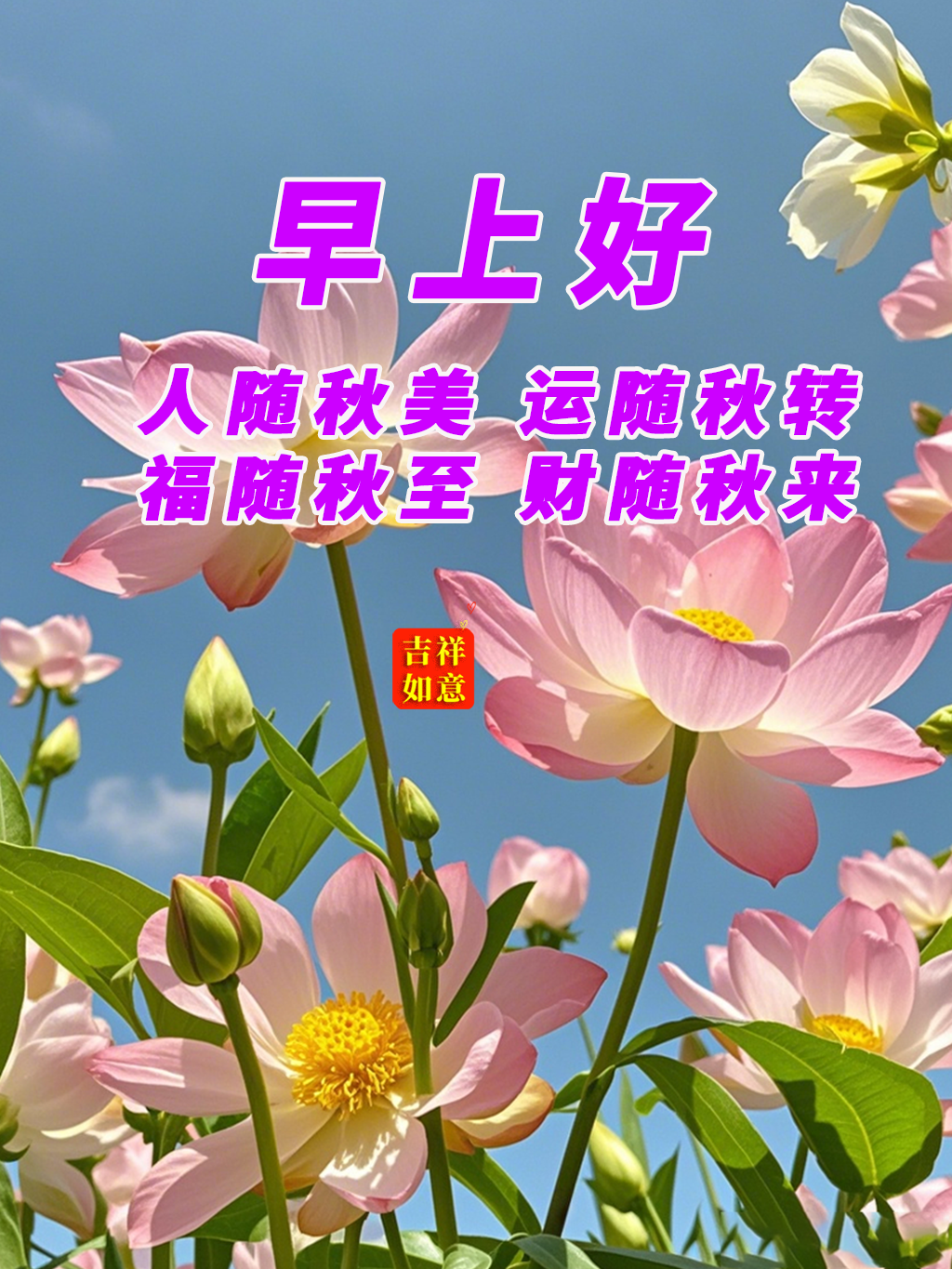 早上好图片唯美祝福问候语