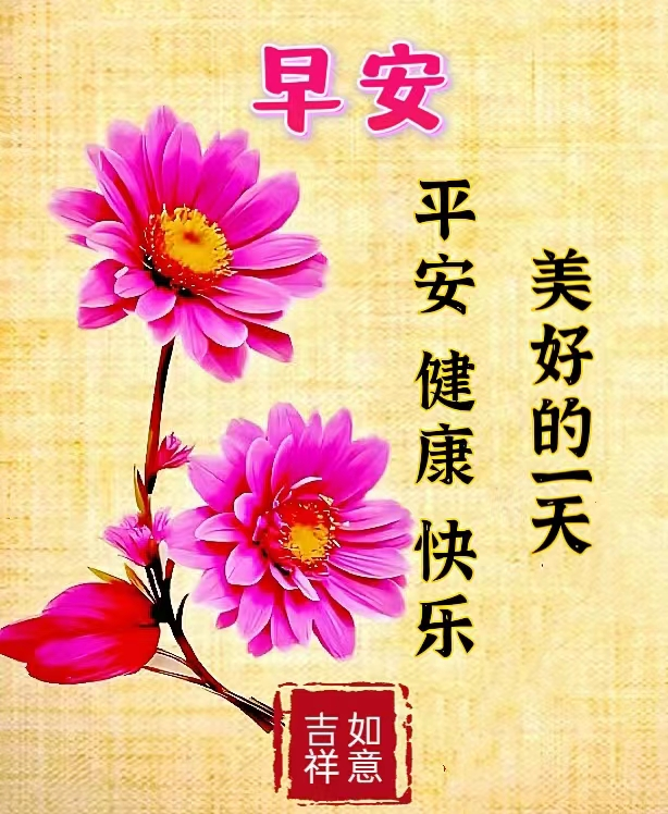 清晨发朋友圈最美的一段话,温暖阳光的早安祝福语图片带字