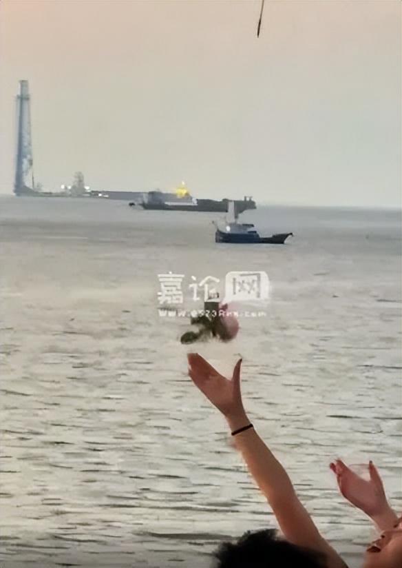 好浪漫!浙江嘉兴海盐观海园一小伙用无人机向路人投赠99朵玫瑰花