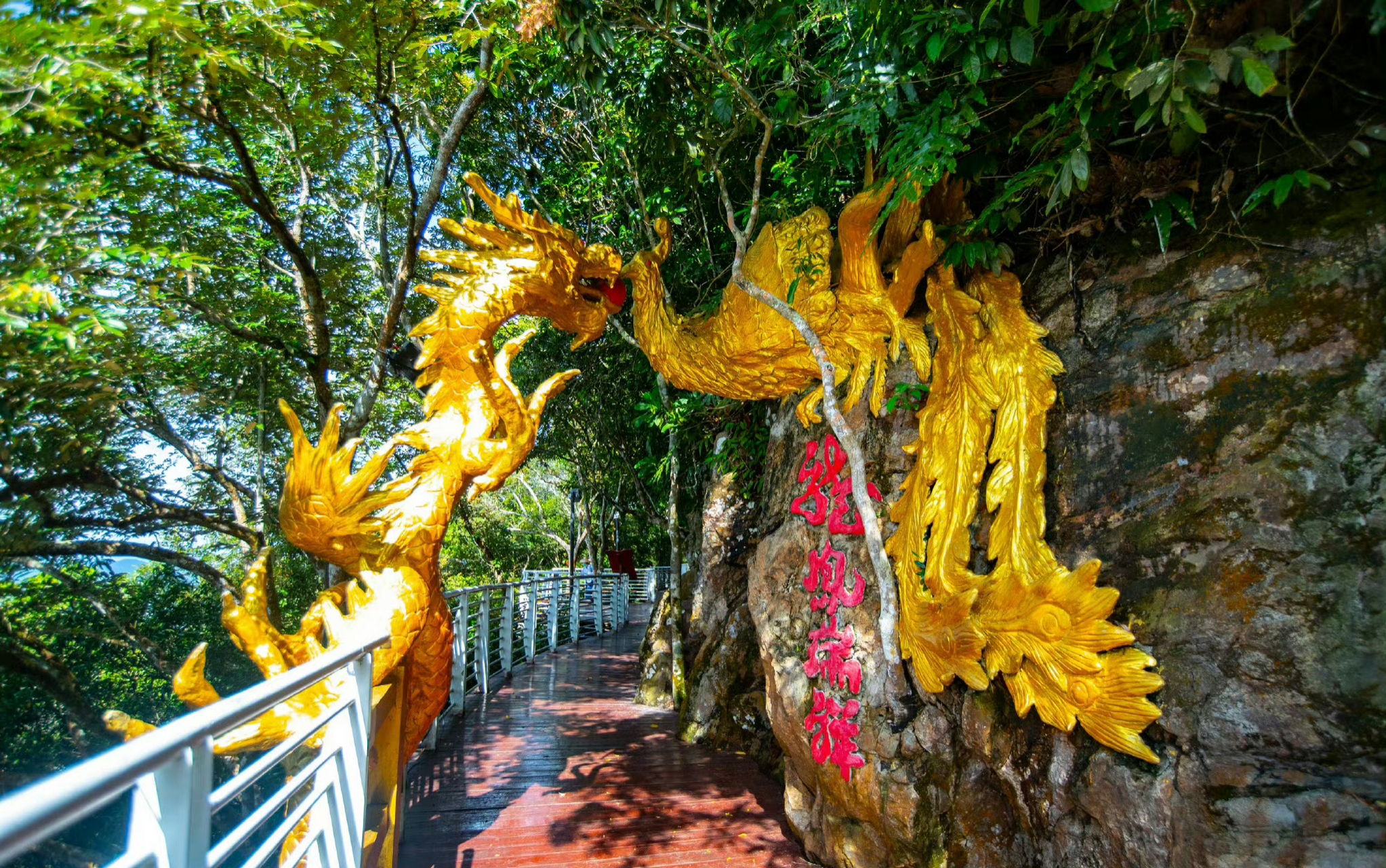 三亚凤凰岭风景区图片