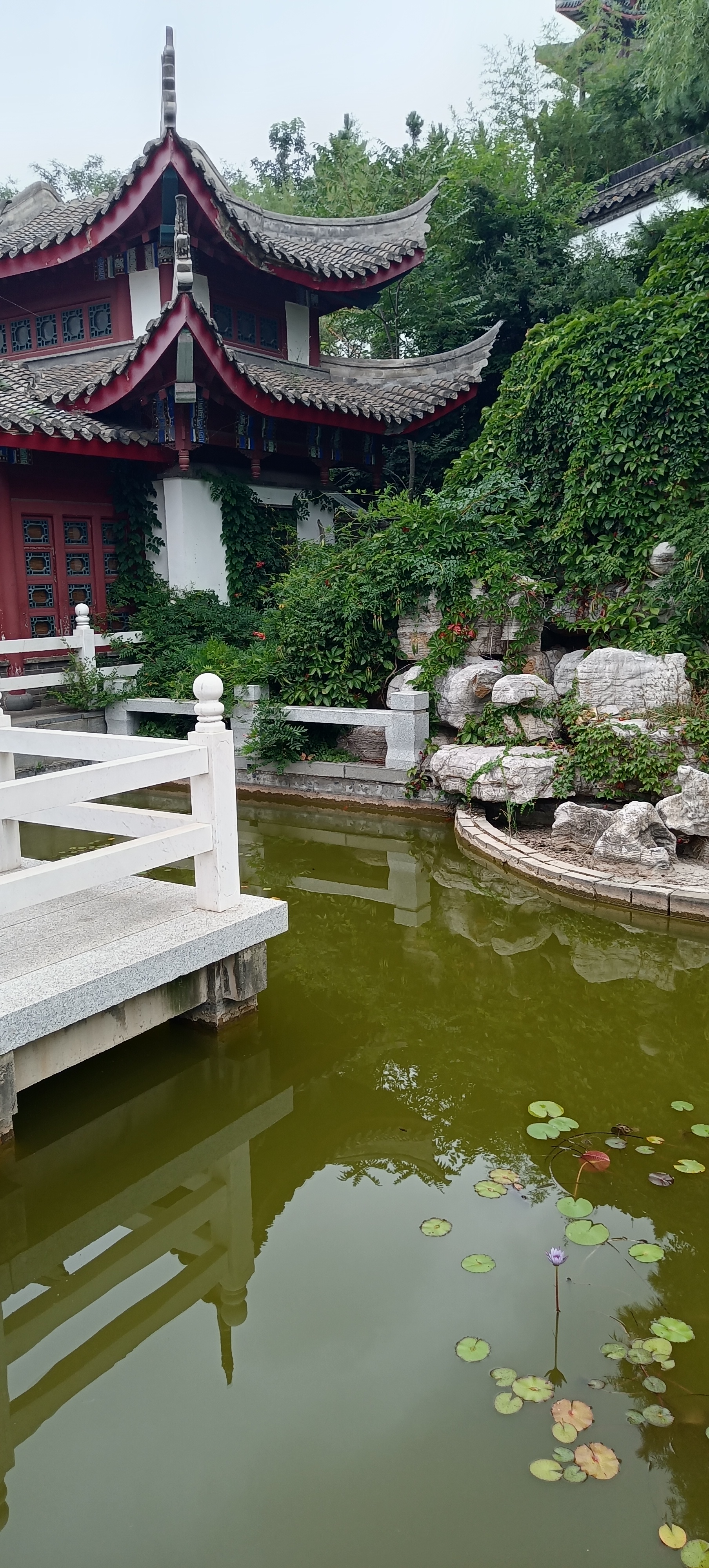 当你还是职场新人时,面对同事推卸