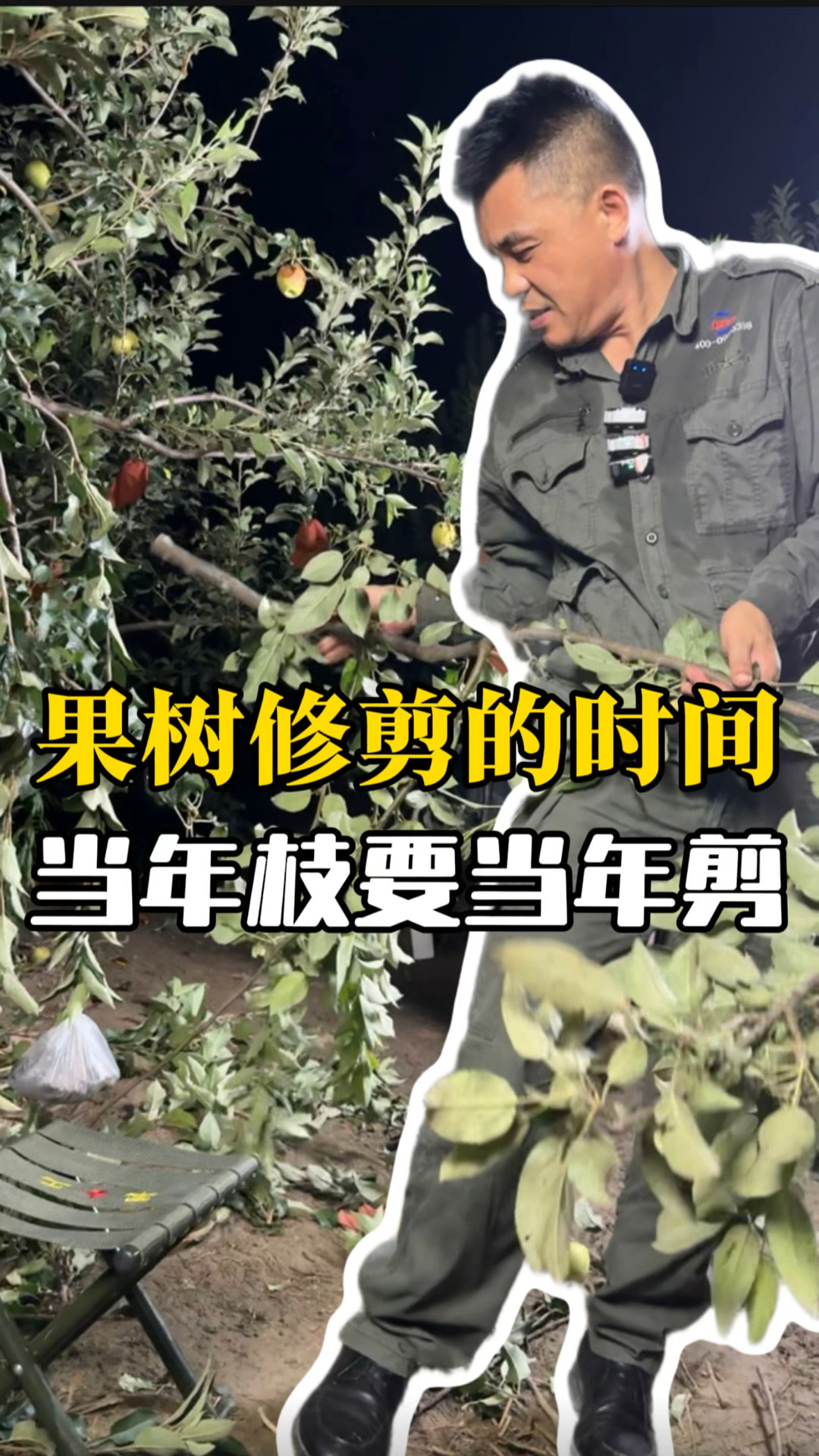 果树修剪的时间!