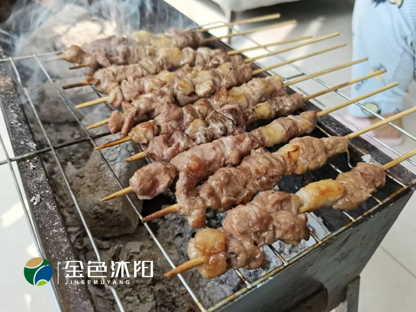 烧烤红柳羊肉串图片