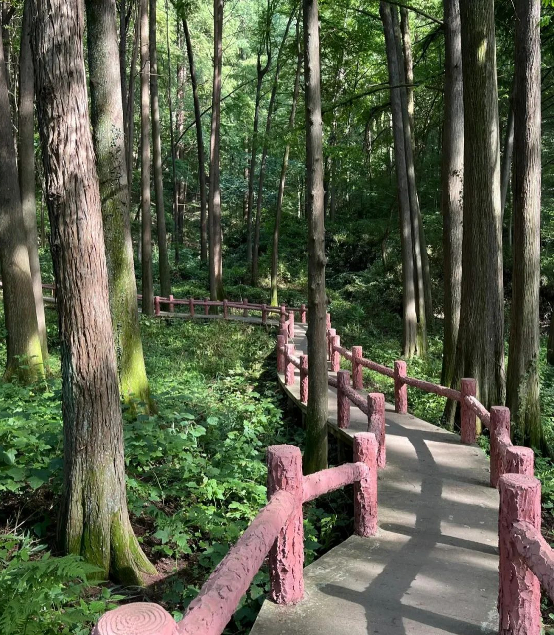 信阳鸡公山图片大全图片