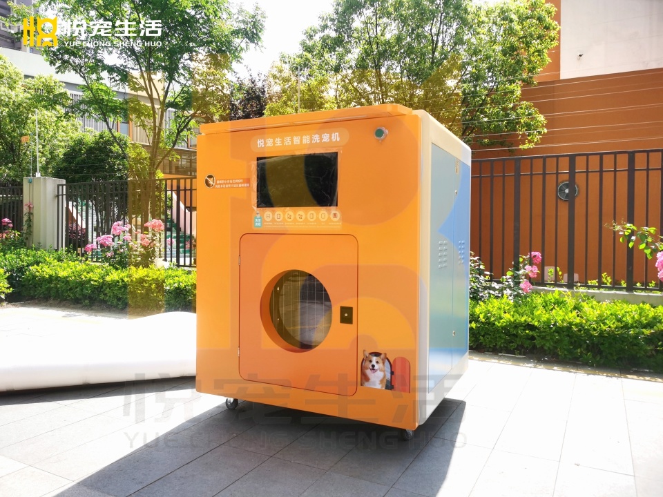 宠物洗浴大揭秘:洗宠机为何成为宠物主新宠?