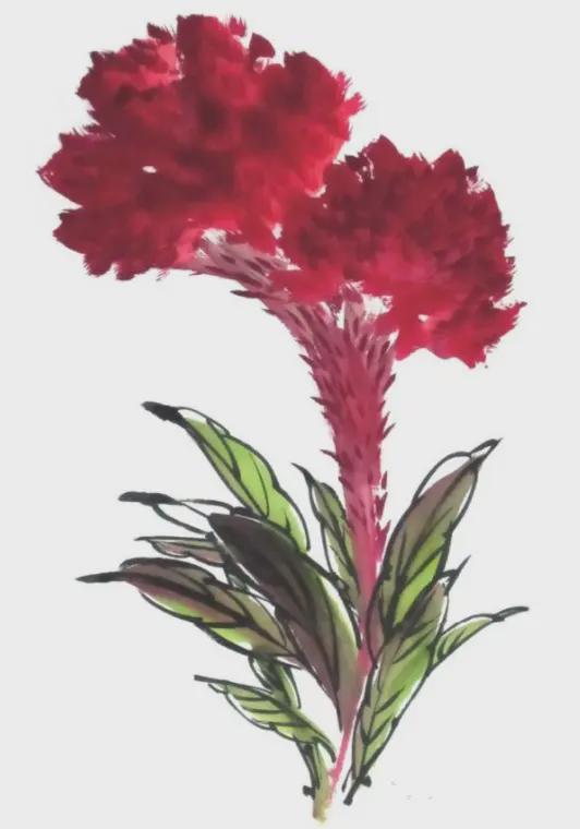 写意国画鸡冠花画法