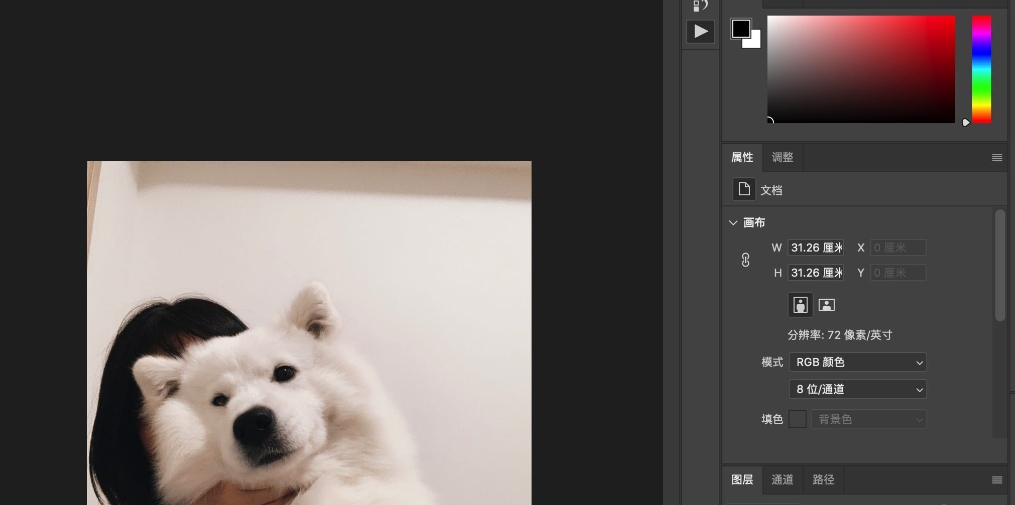 怎么将图片四个角p成圆角?教你四种简单好用的ps方法!