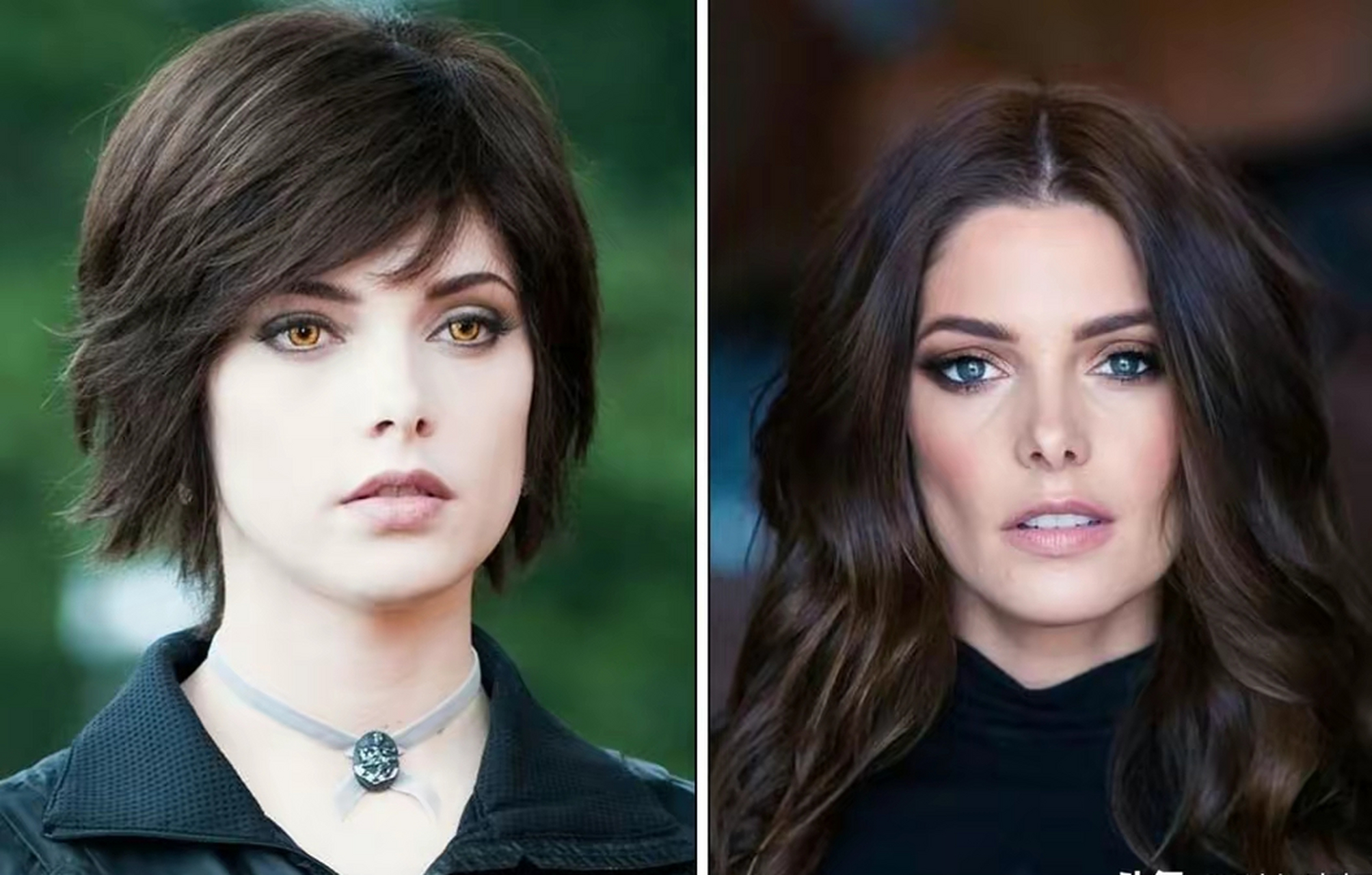 暮光之城6主演现状,最拉胯的居然是贝拉 电影里最喜欢爱丽丝和卡伦他