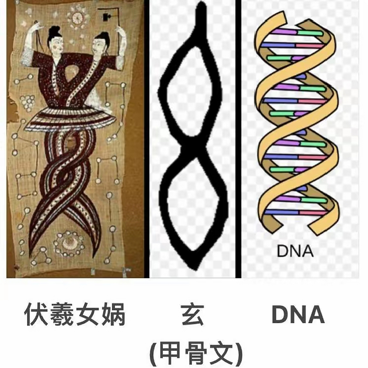 老子 道德经>"玄之又玄,众妙之门" 伏羲女娲图   玄 甲骨文,象形字>