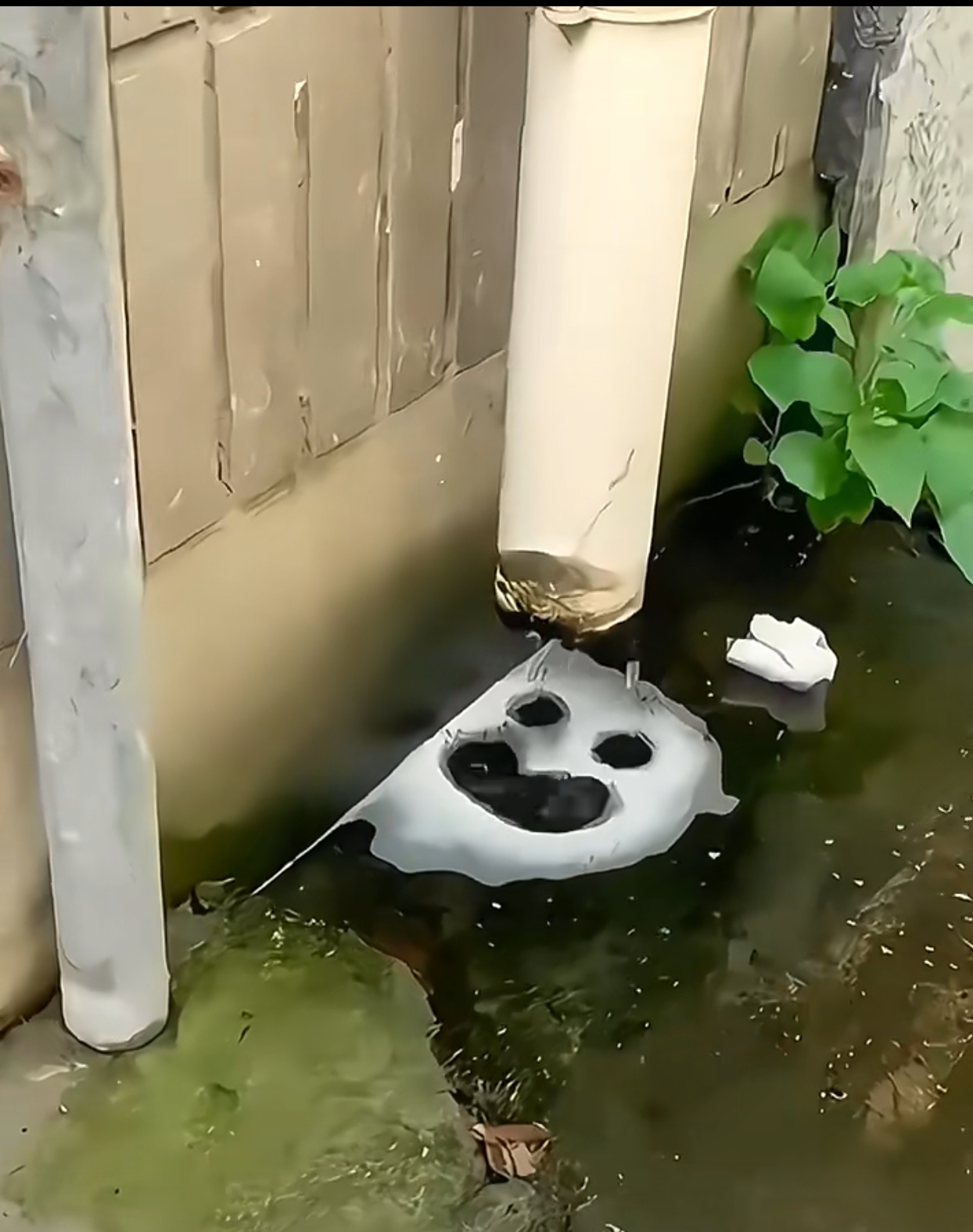 快乐不是件奇怪的东西,绝不因为你分给了别人而减少