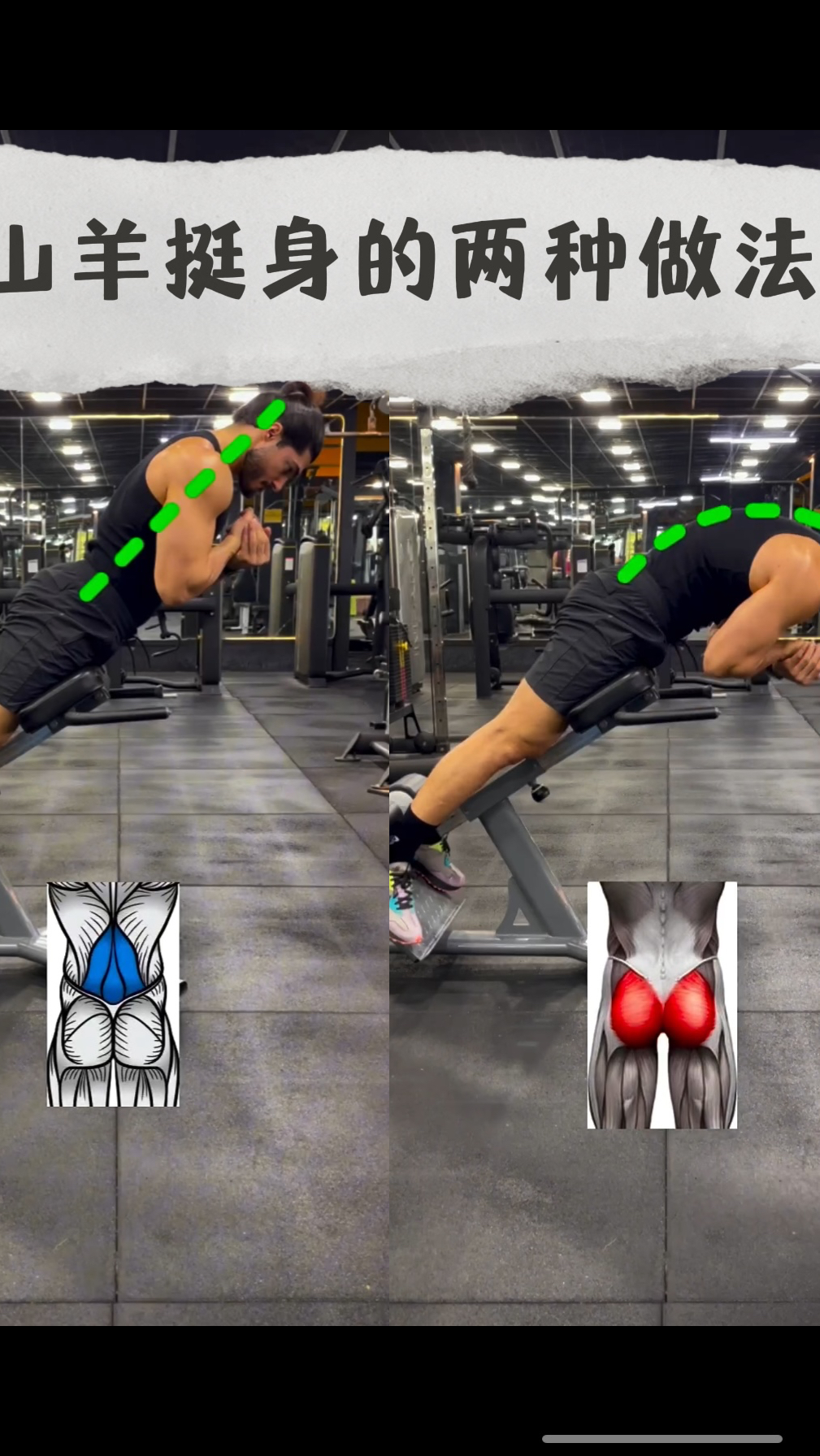 山羊挺身的两种做法,做法不同,锻炼的部位也不同