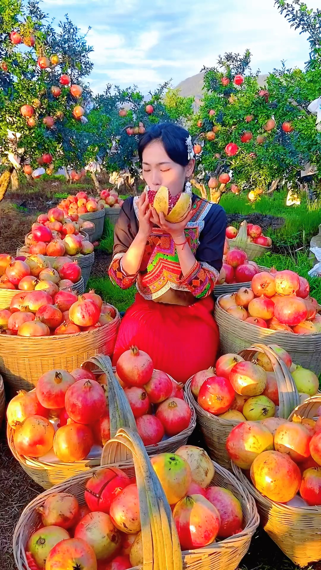 石榴熟了阿娜尔罕近况图片