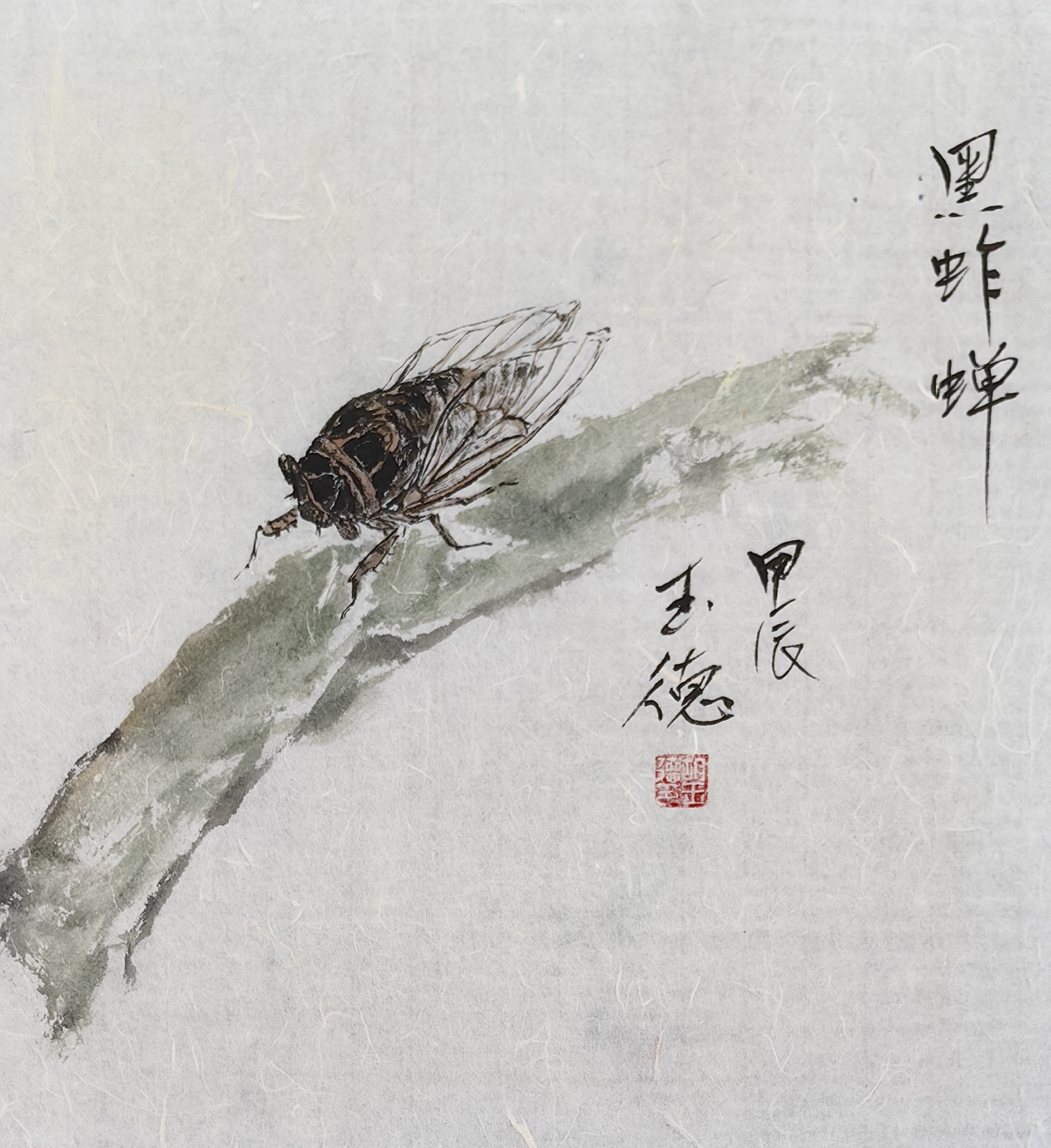 蝉国画小写意图