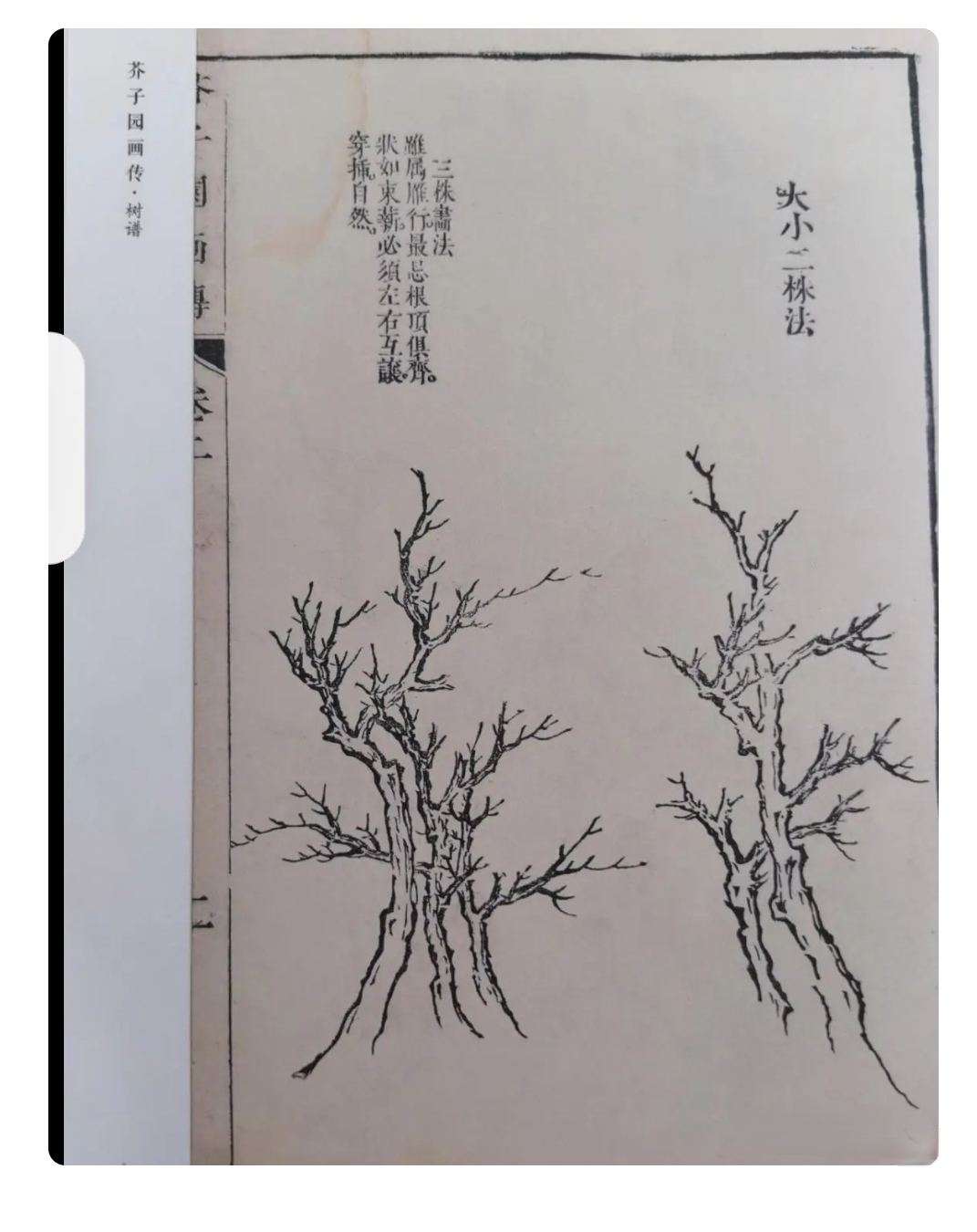 芥子园画石原文译文图片