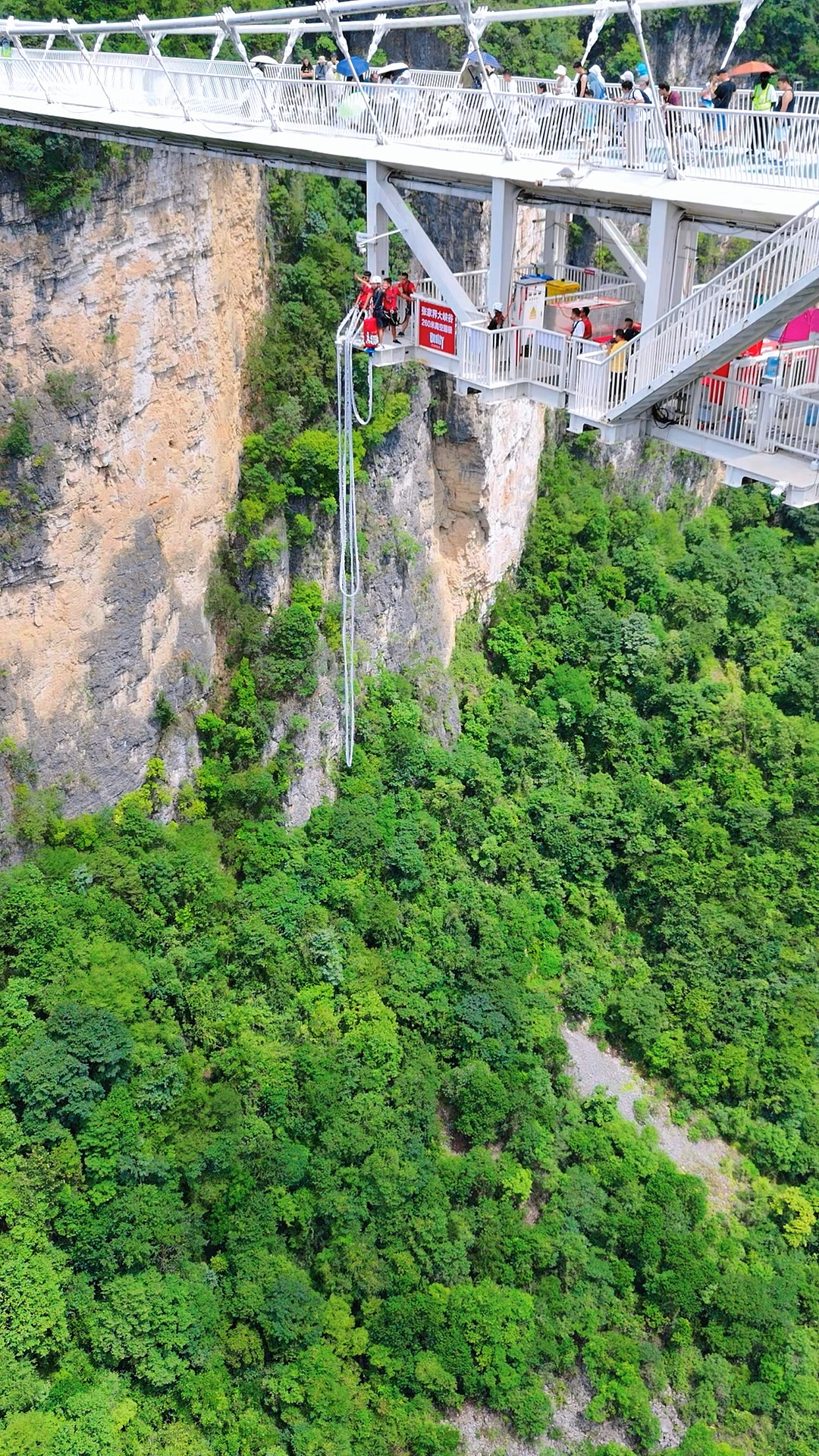 反弹真高啊,这蹦极适合我