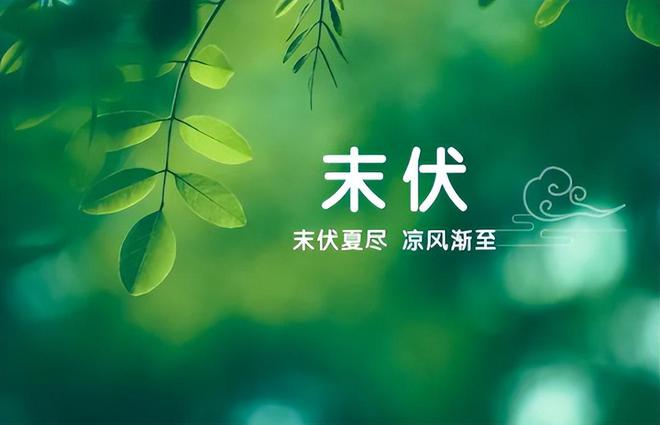 末伏|夏末浅入秋,凉风悄拂柳