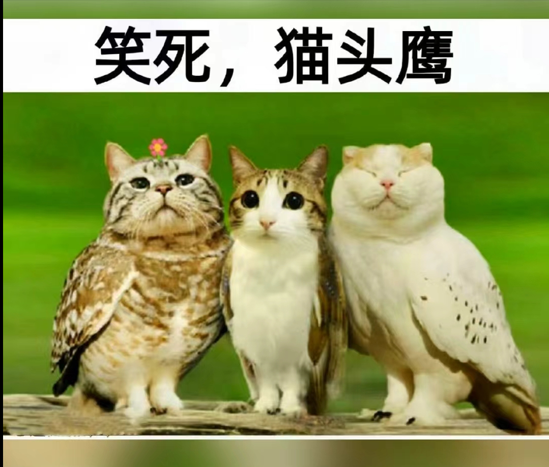 轻松一刻,30张搞笑图片,喝水勿入呛了不管