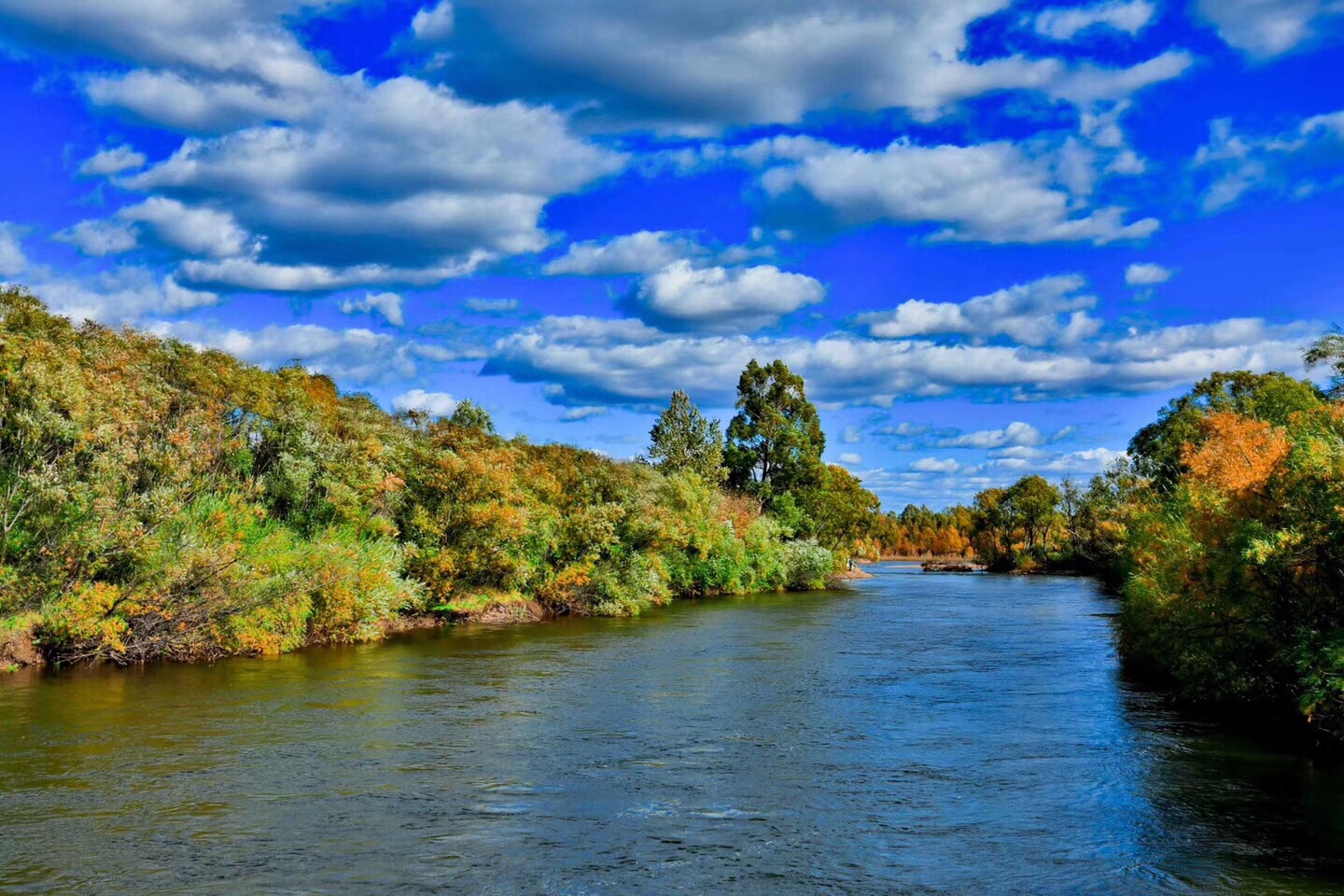 额尔古纳湿地:亚洲第一湿地的避暑胜地
