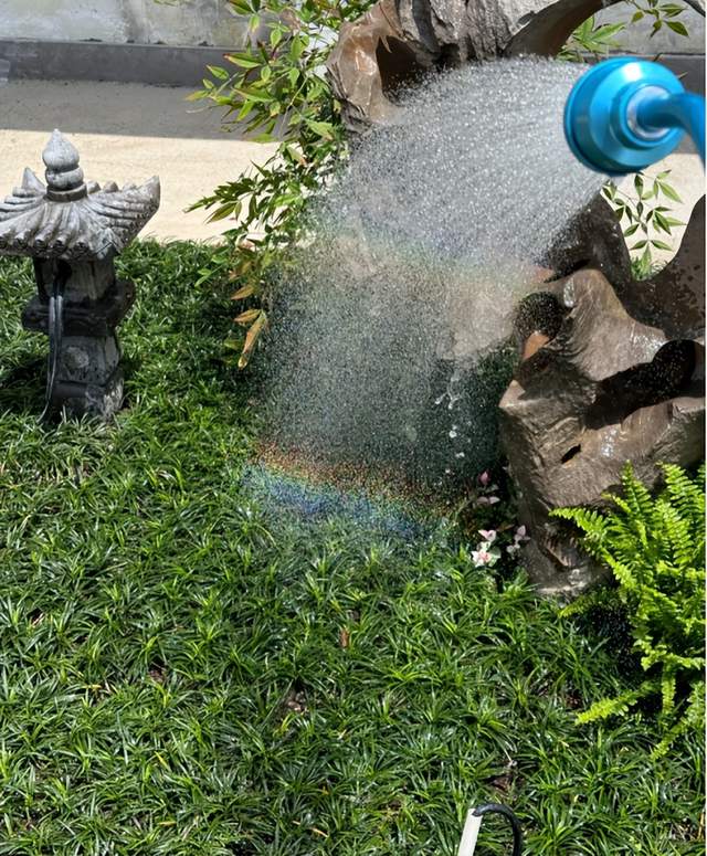 容易被水浇死的"5种"花,一般人养不活,真的不能怪植物!