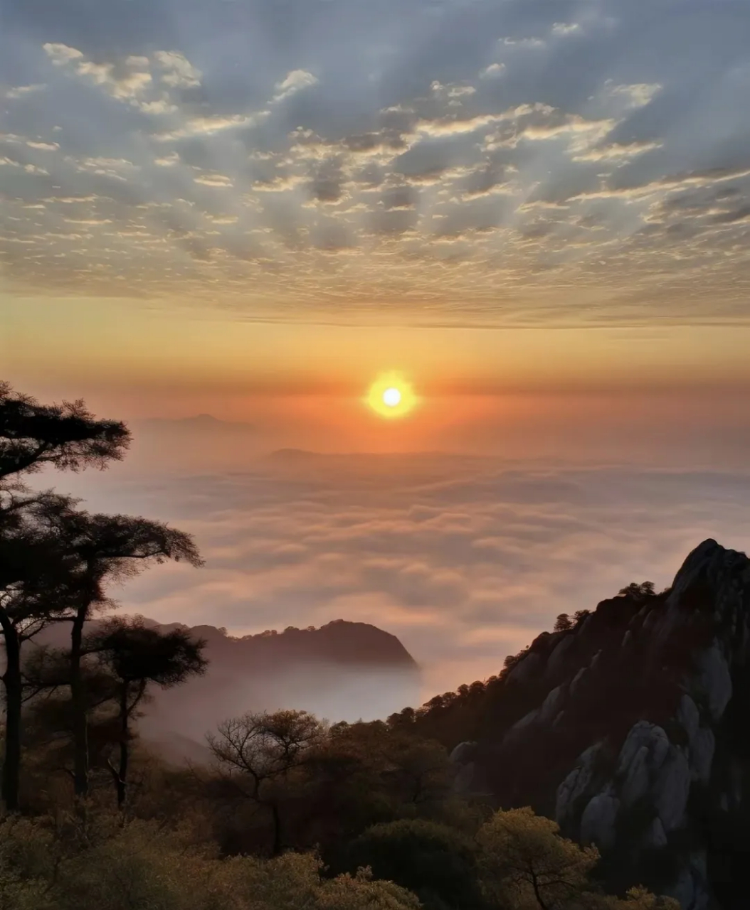 泰山旅游图相册图片