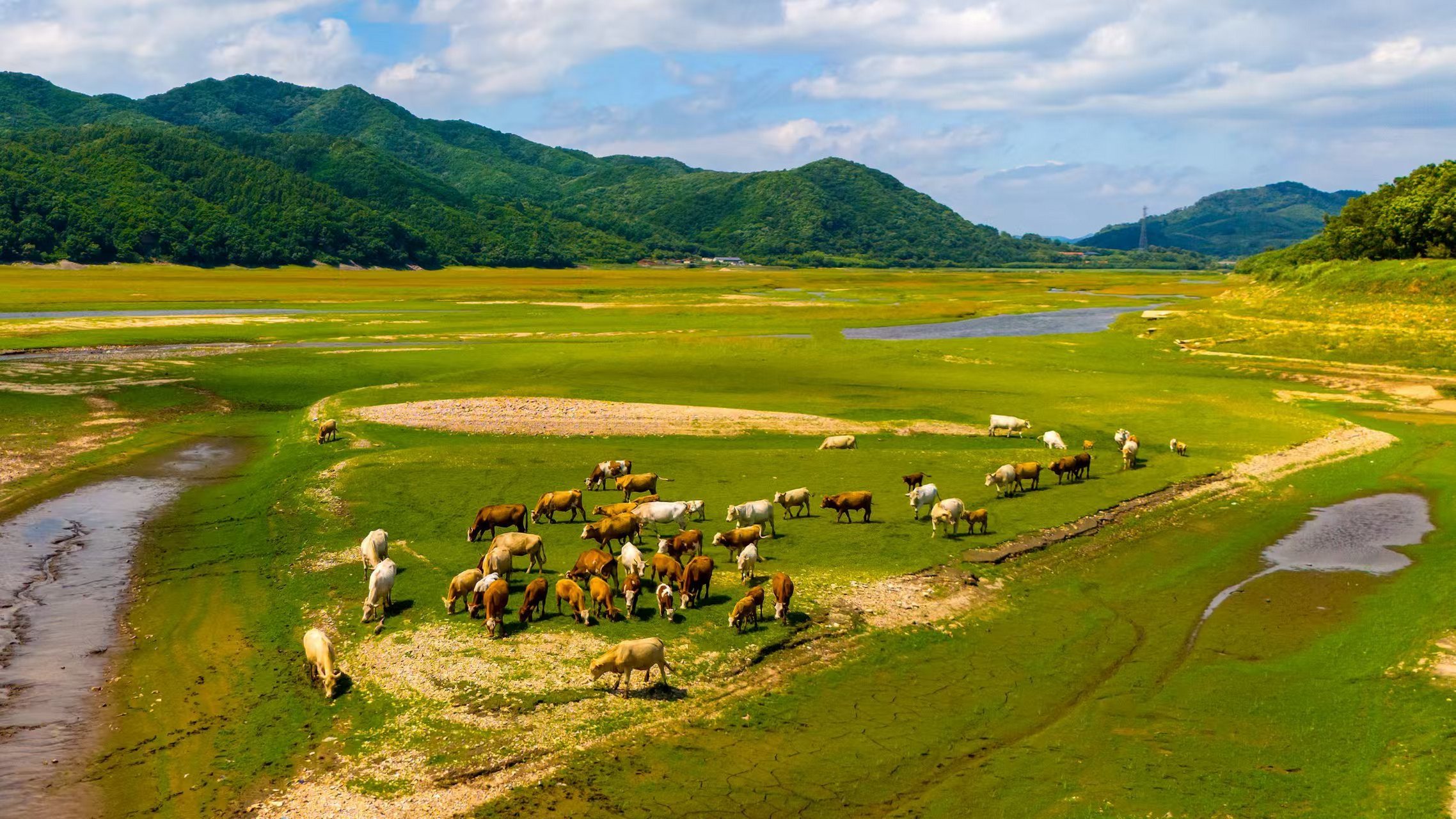 【青山绿水】辽宁省凤城市:玉龙湖畔风光美 作者:孙杰 #振兴新突破