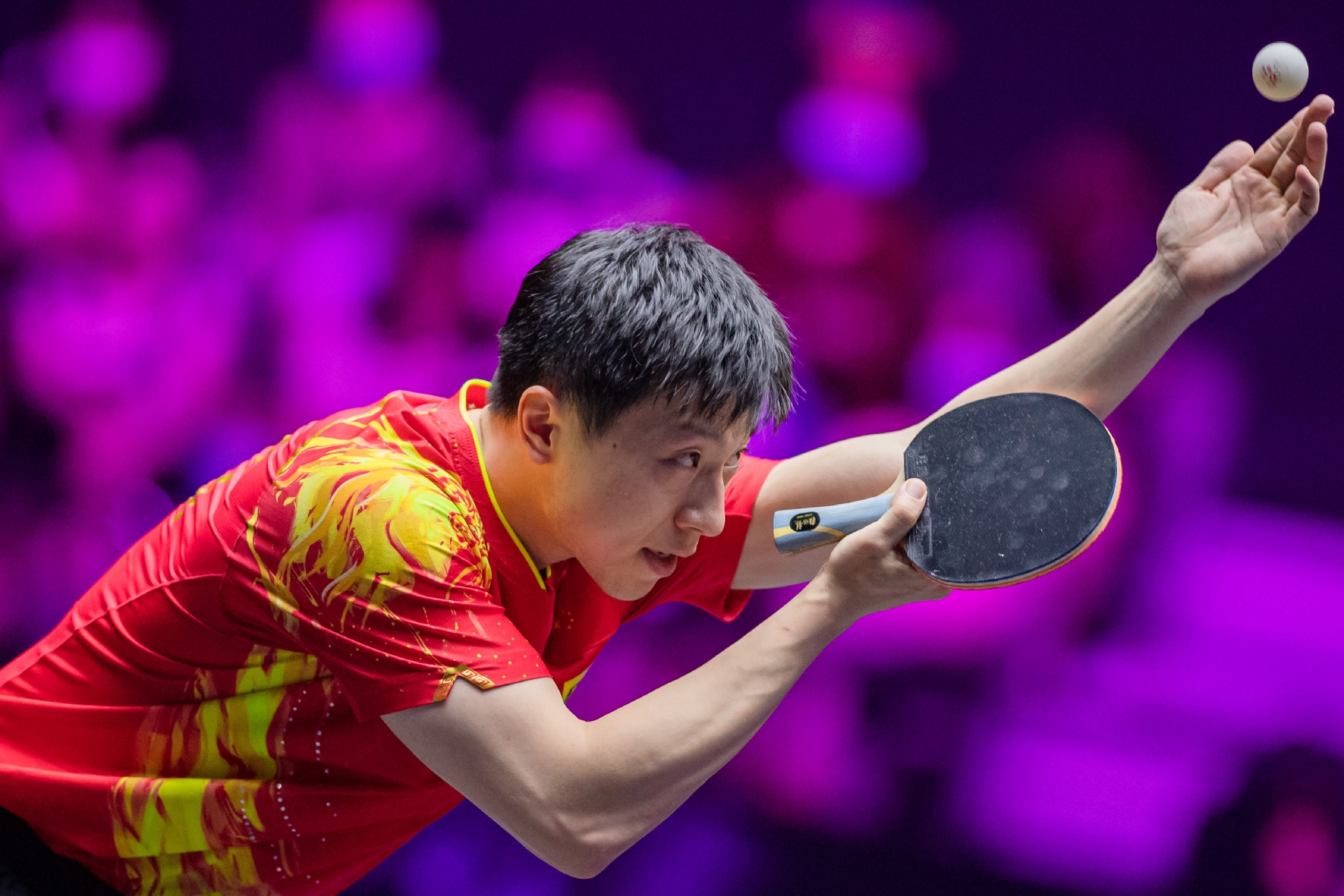 马龙照片高清图片马龙的照片马龙的图片马龙乒乓球照片马龙乒乓球乒乓