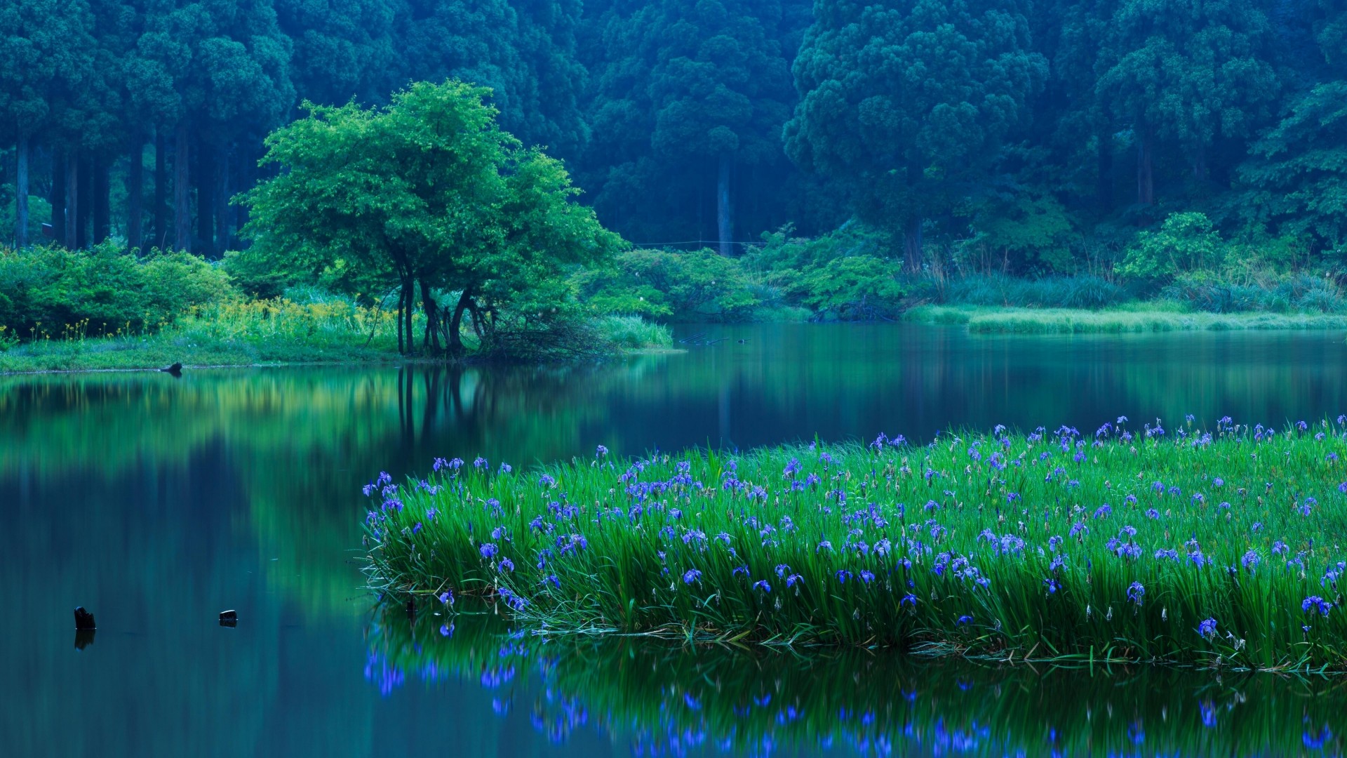 断联多久才算彻底结束?掌握这些信号,不再盲目等待!