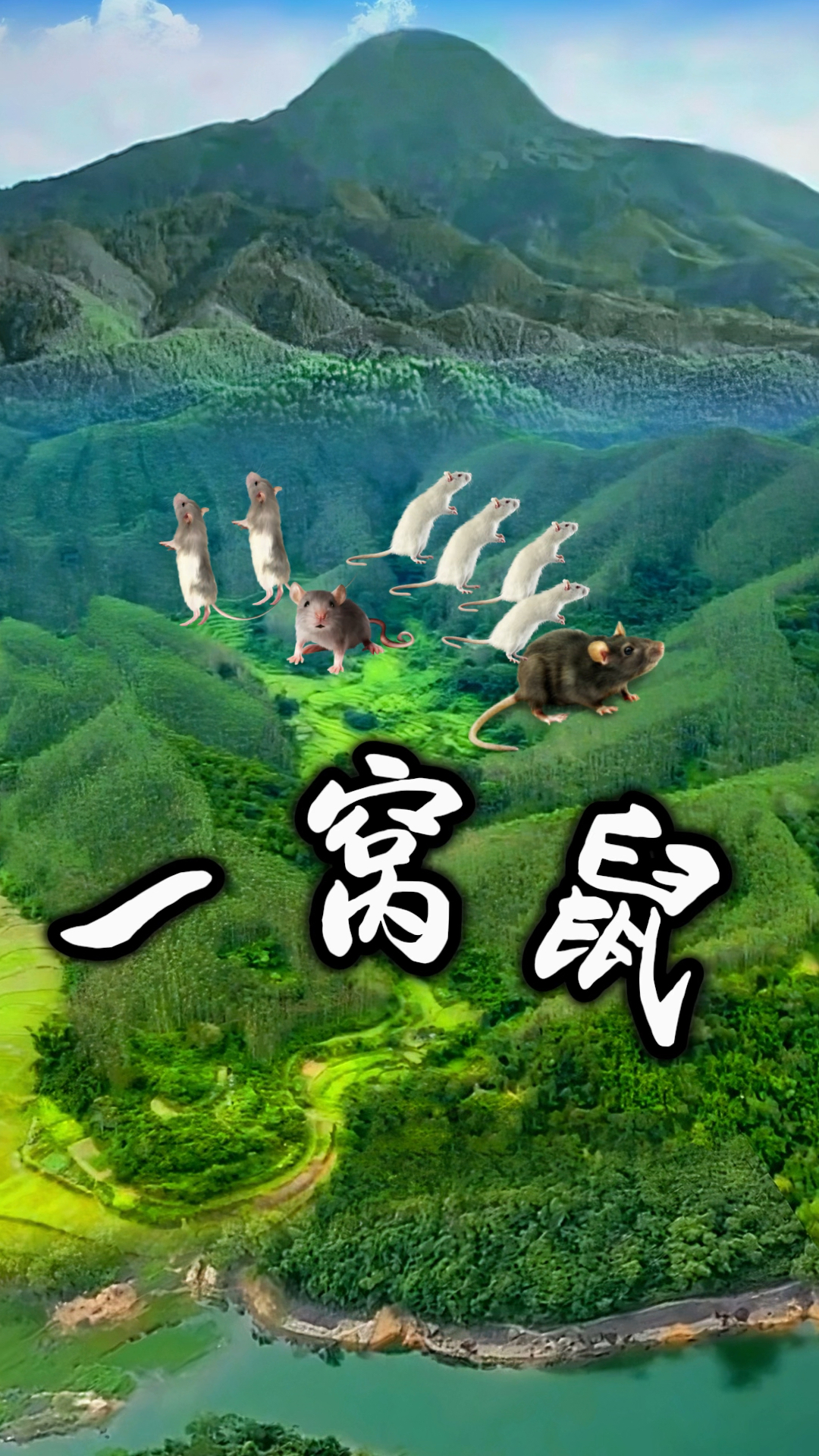 名师"戴锡伦"风景题名"一窝鼠,感觉挺美妙的奇观,有点意思
