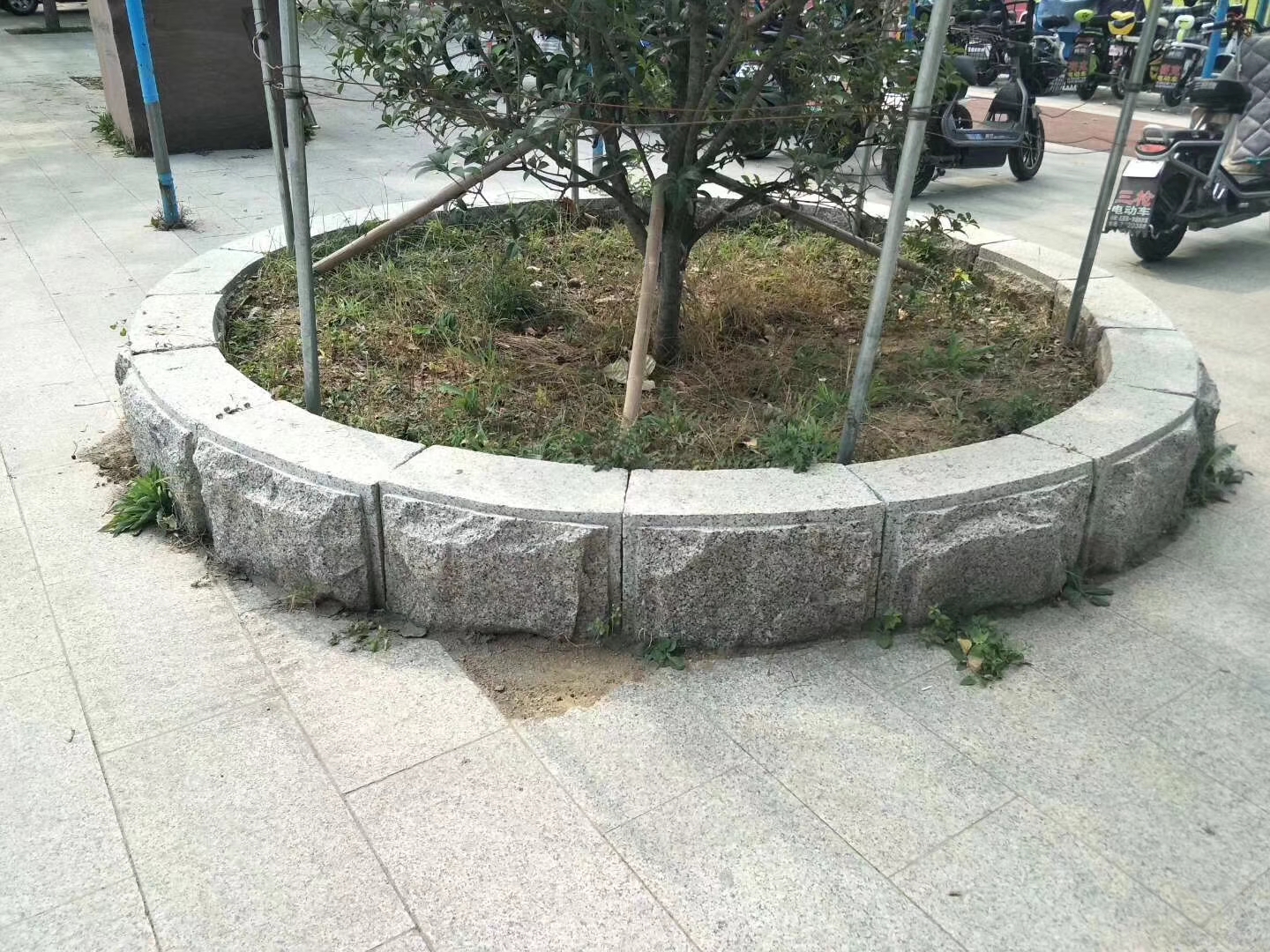 树坑石,五莲花树坑石,树池石,树边石,花岗岩树框石,树围石