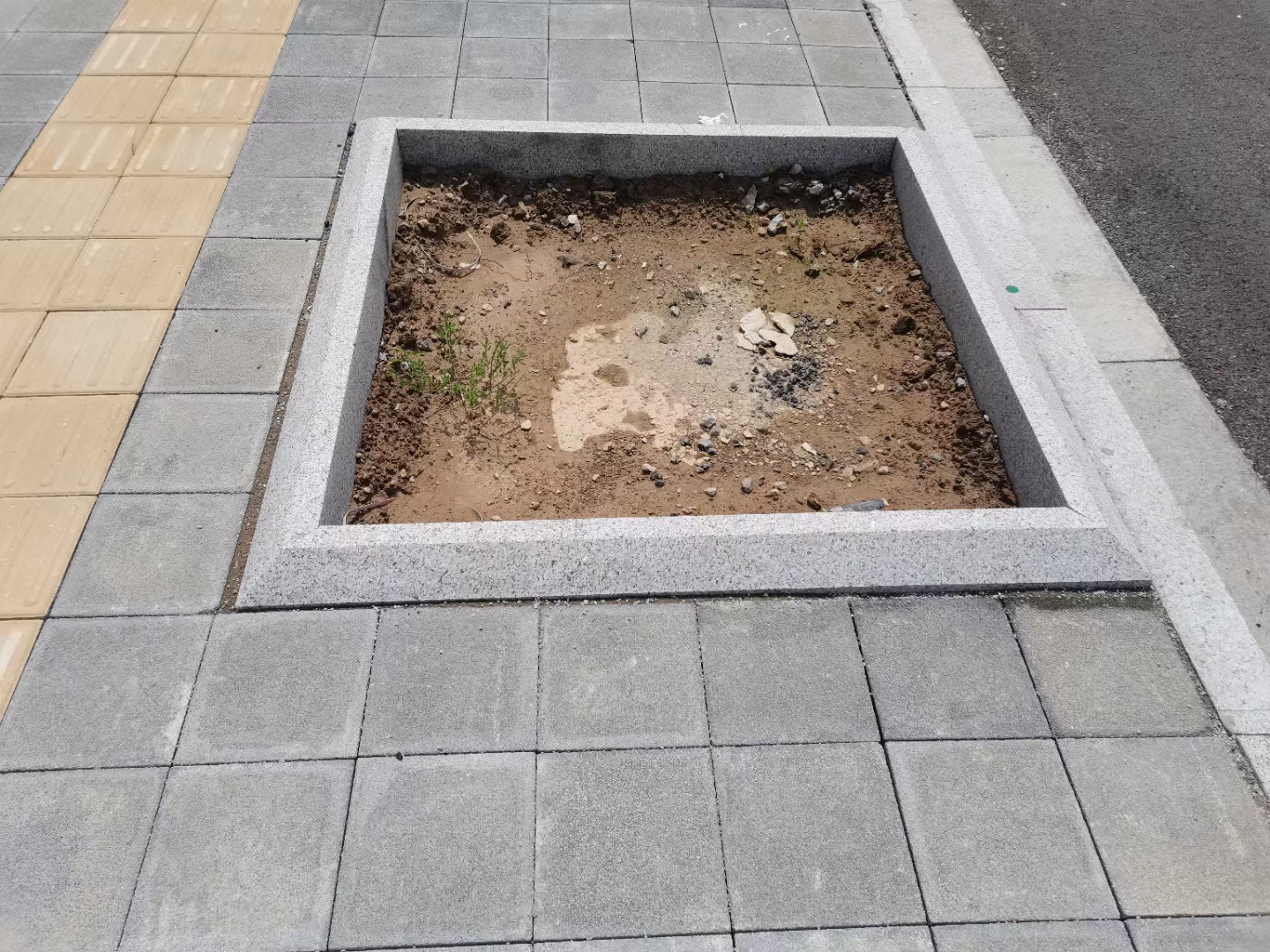 树坑石,五莲花树坑石,树池石,树边石,花岗岩树框石,树围石