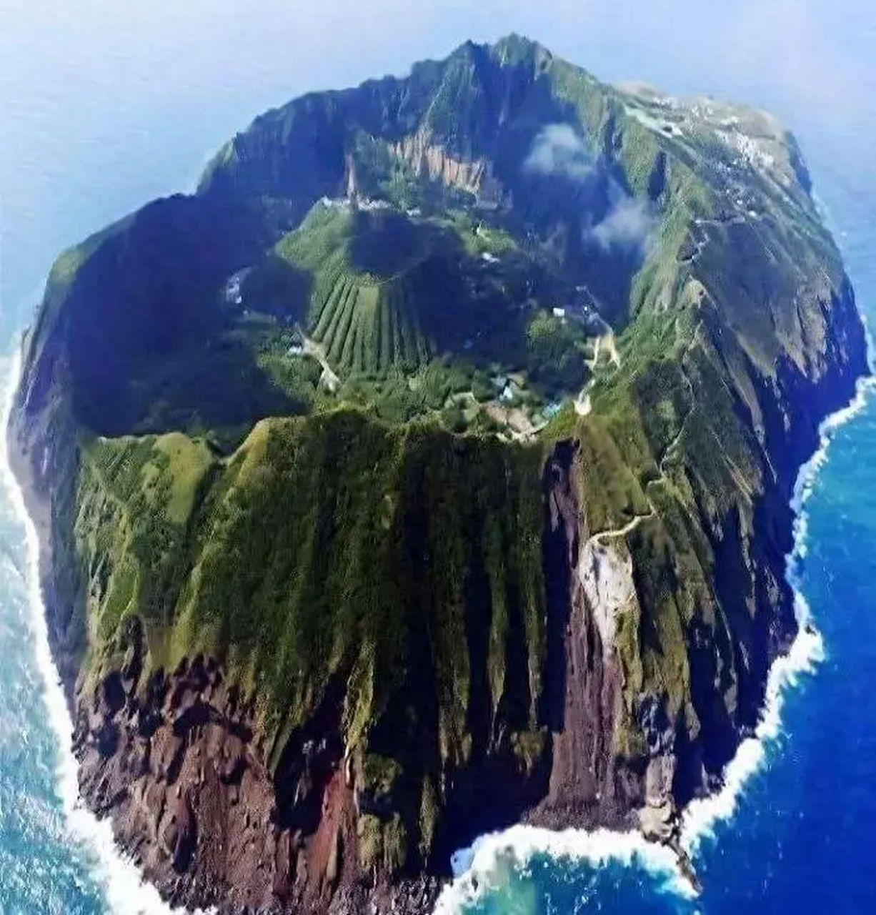 火山鸟图片