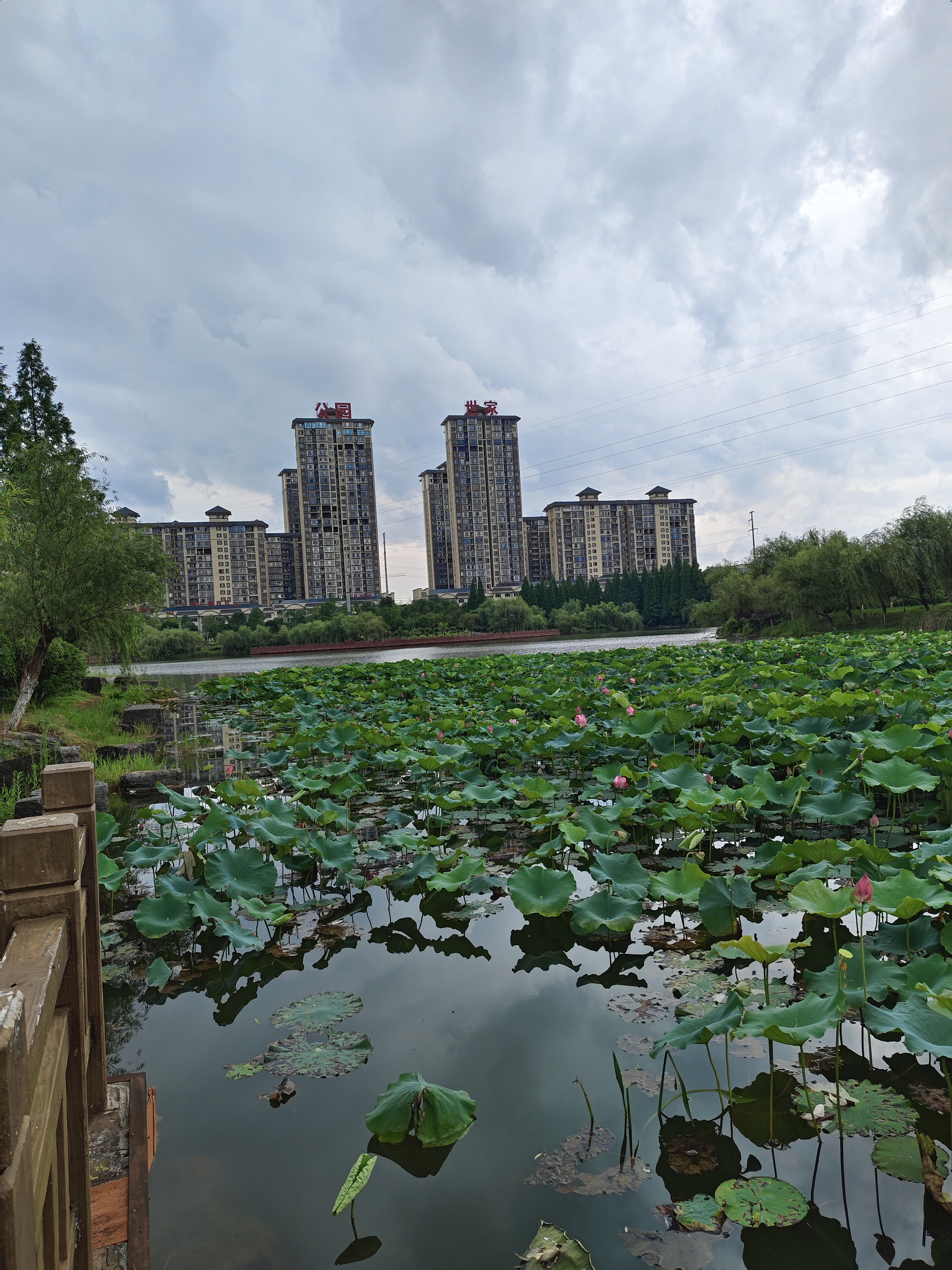 我们经常会发现,自己