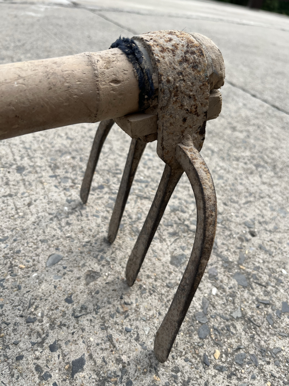 这是一把爷爷奶奶曾经使用过的农田劳动工具,我把它从乡下拿了出来